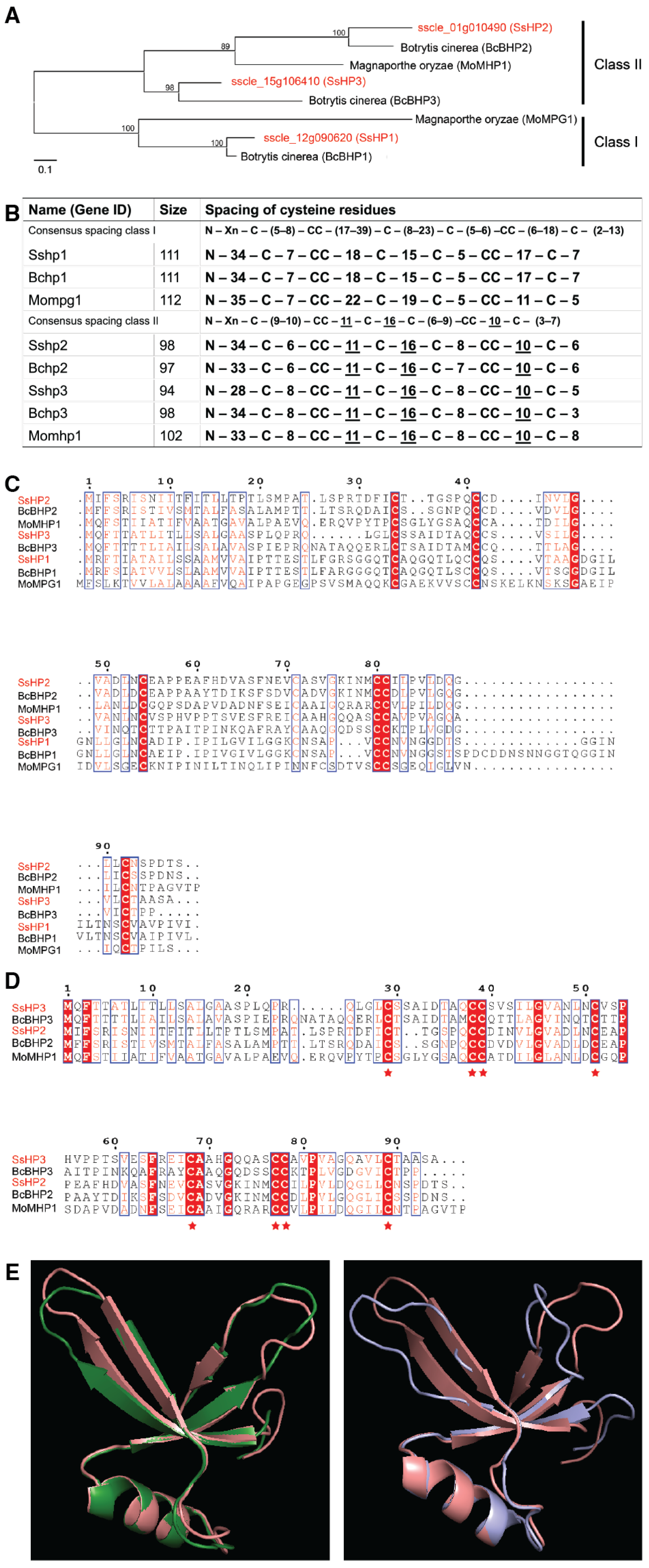 Pathogens 14 01131 g001 Pathogens 14 01131 g001