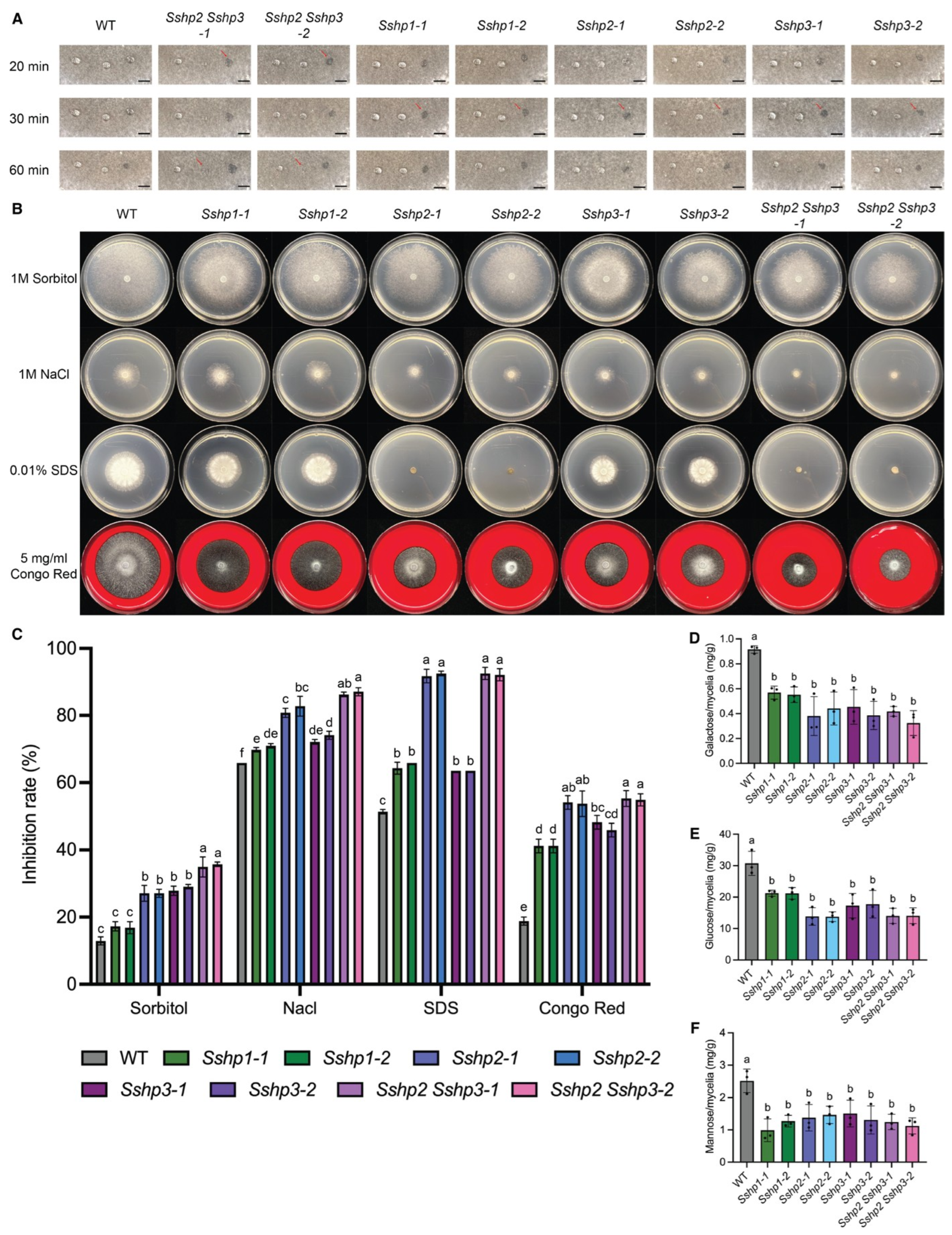 Pathogens 14 01131 g006 Pathogens 14 01131 g006