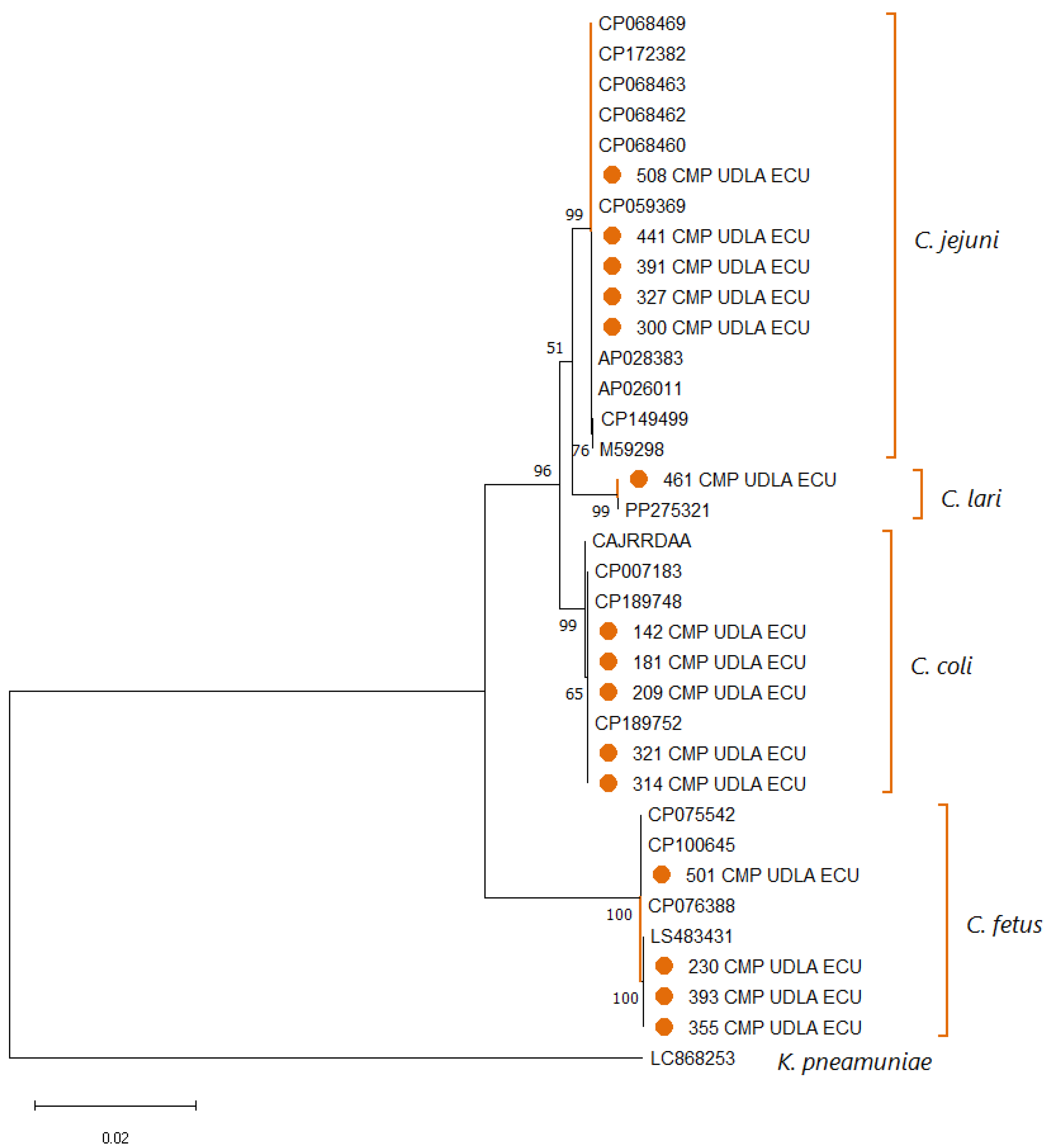 Pathogens 14 01155 g003 Pathogens 14 01155 g003