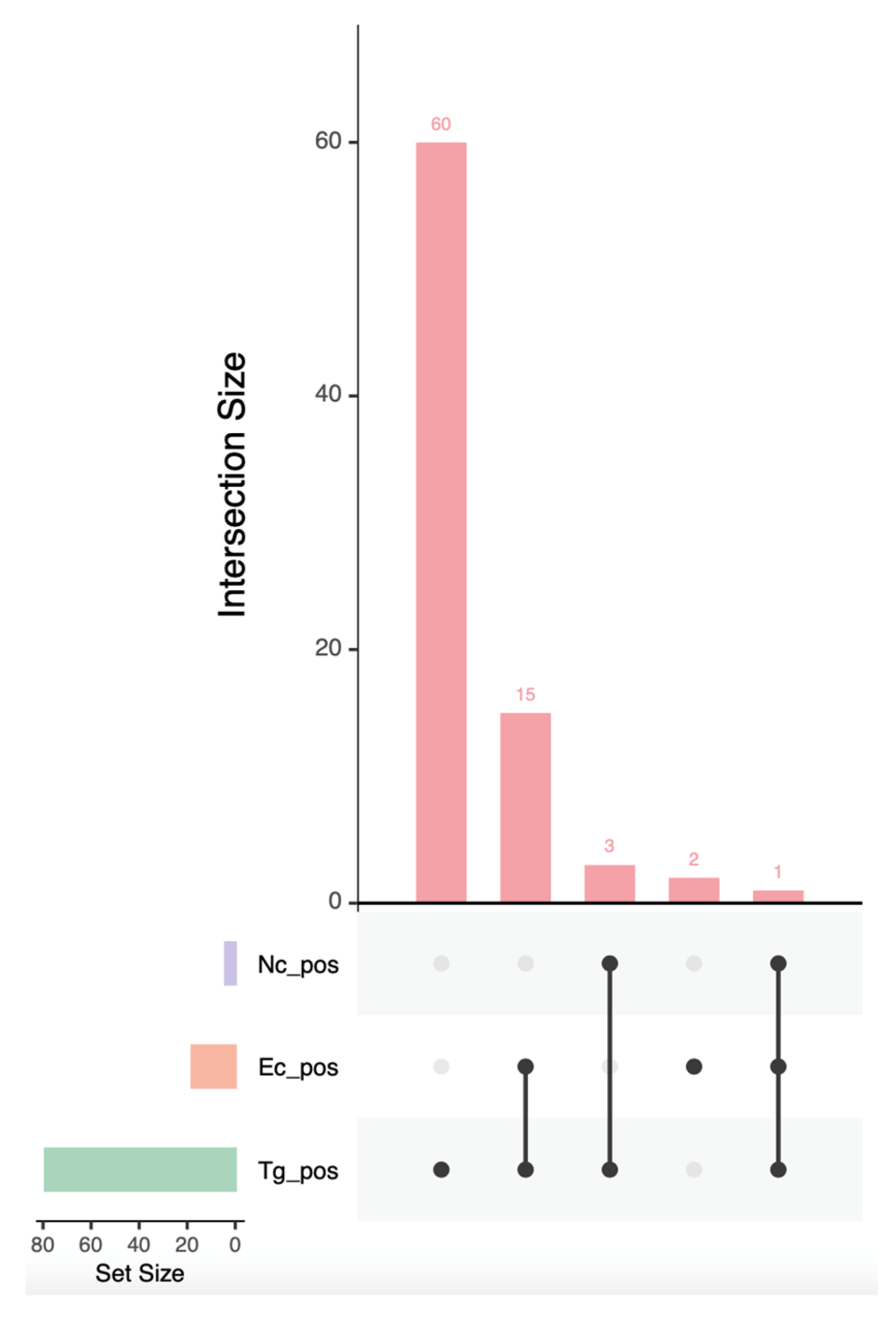 Pathogens 14 01175 g001 Pathogens 14 01175 g001