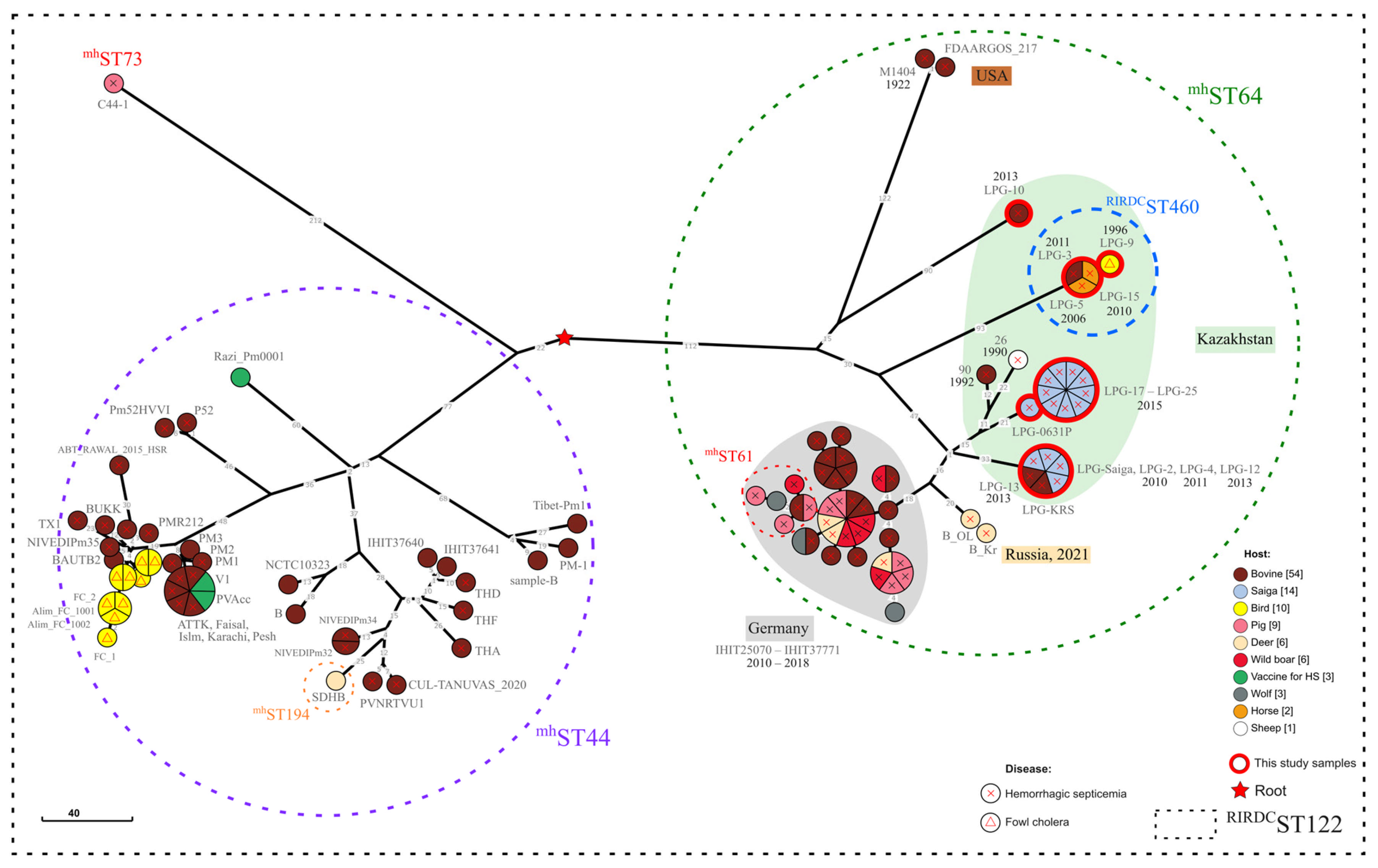 Pathogens 14 01273 g001 Pathogens 14 01273 g001