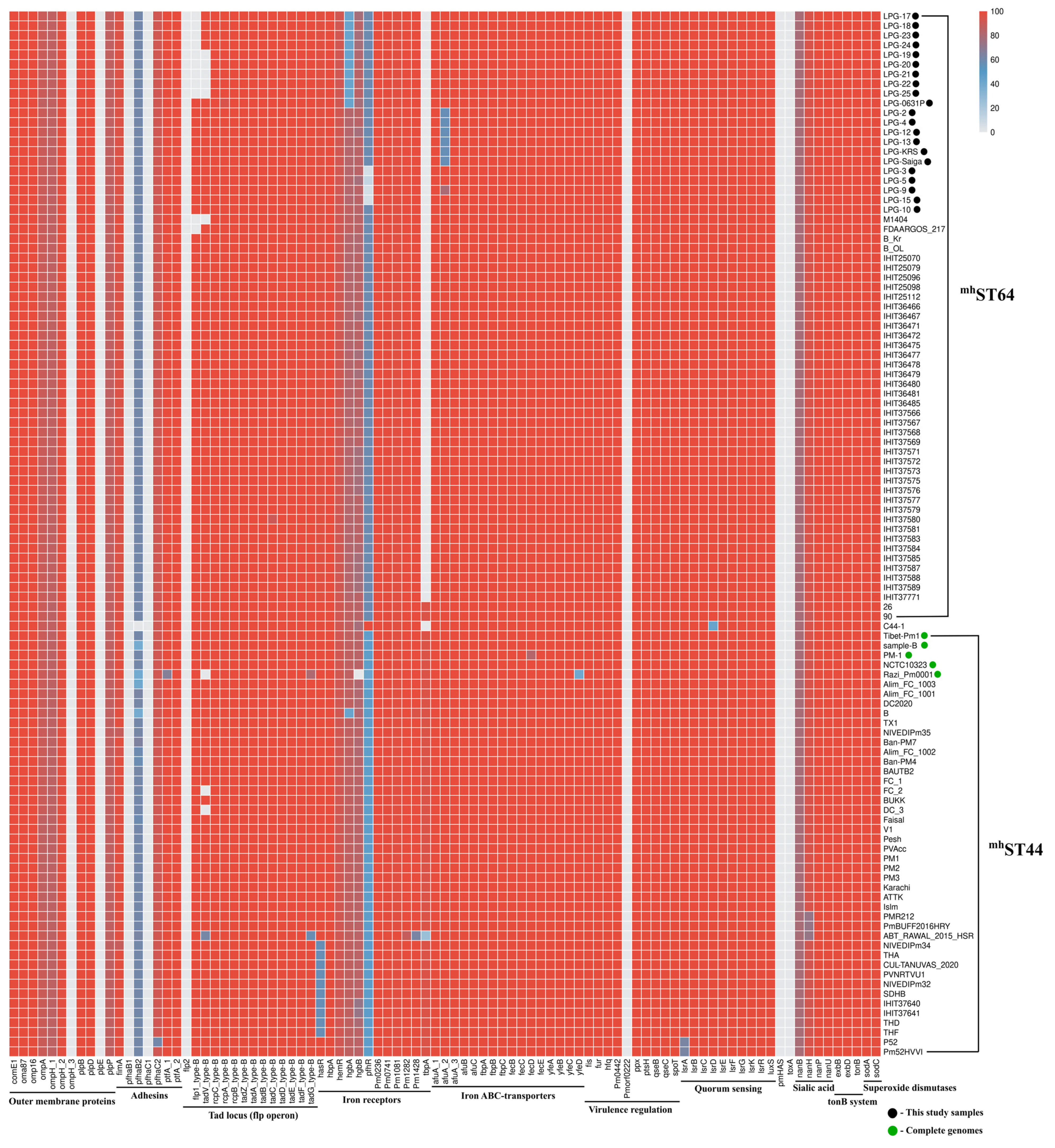 Pathogens 14 01273 g002 Pathogens 14 01273 g002