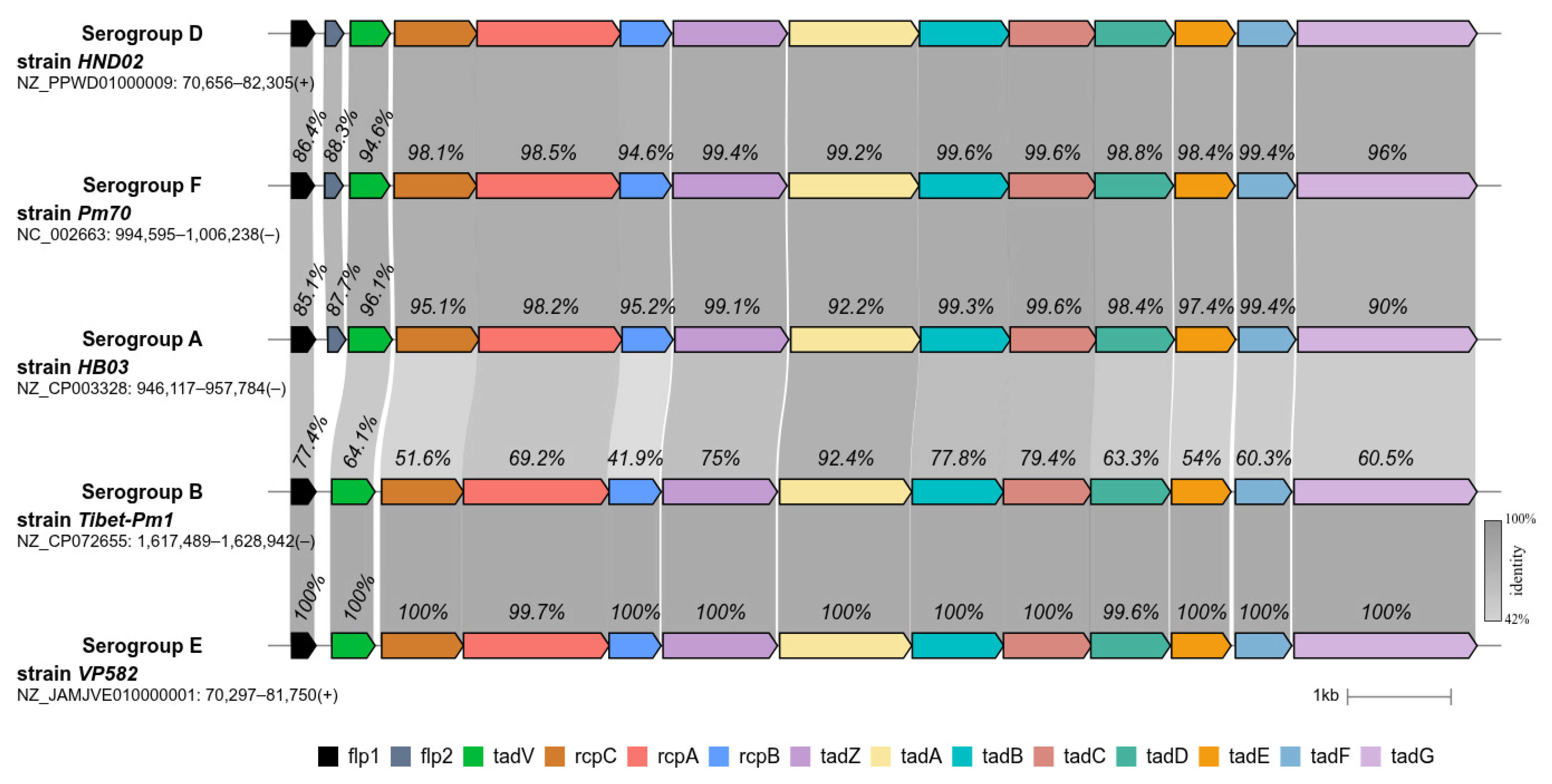 Pathogens 14 01273 g003 Pathogens 14 01273 g003