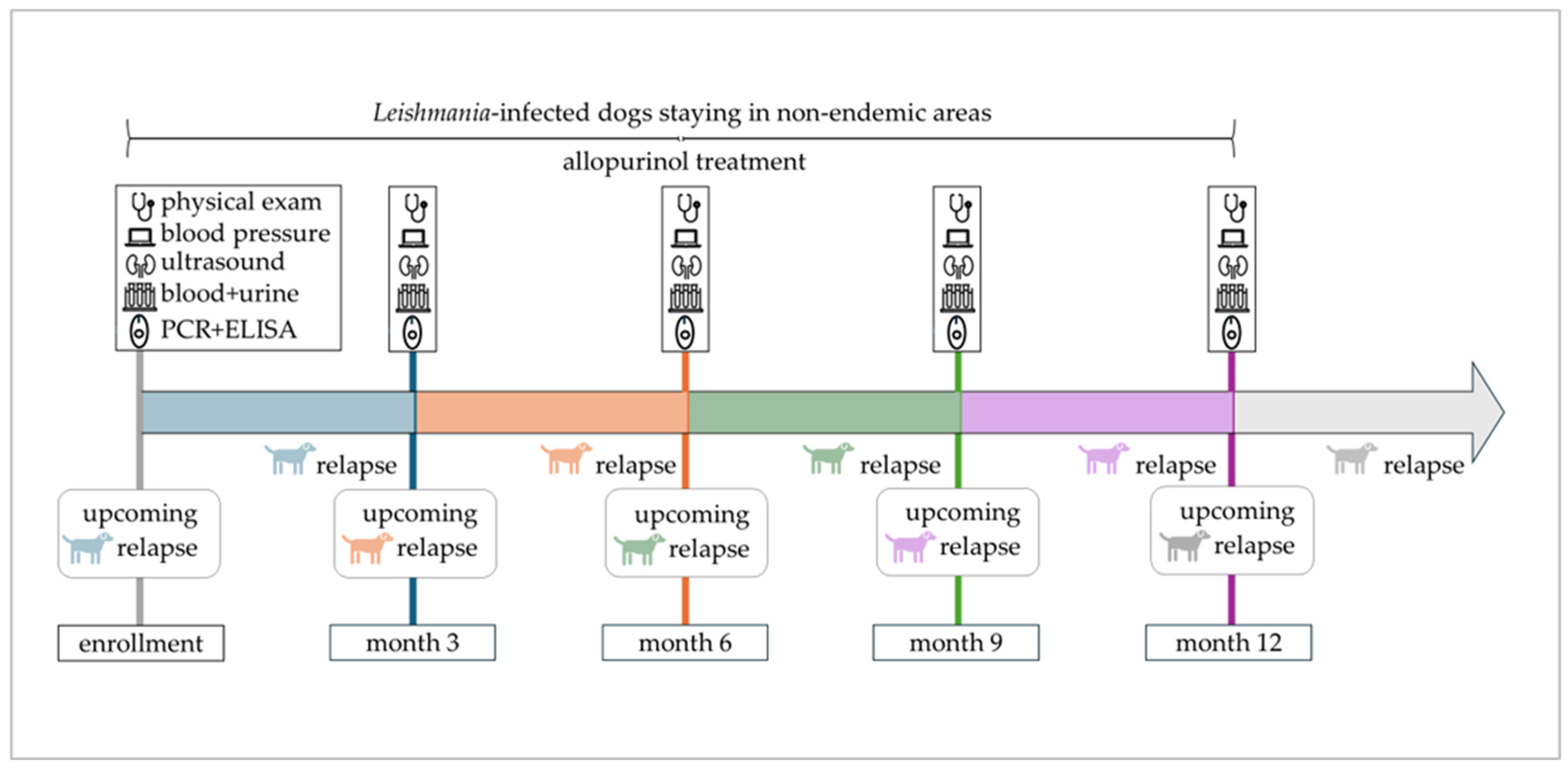 Pathogens 14 01282 g001