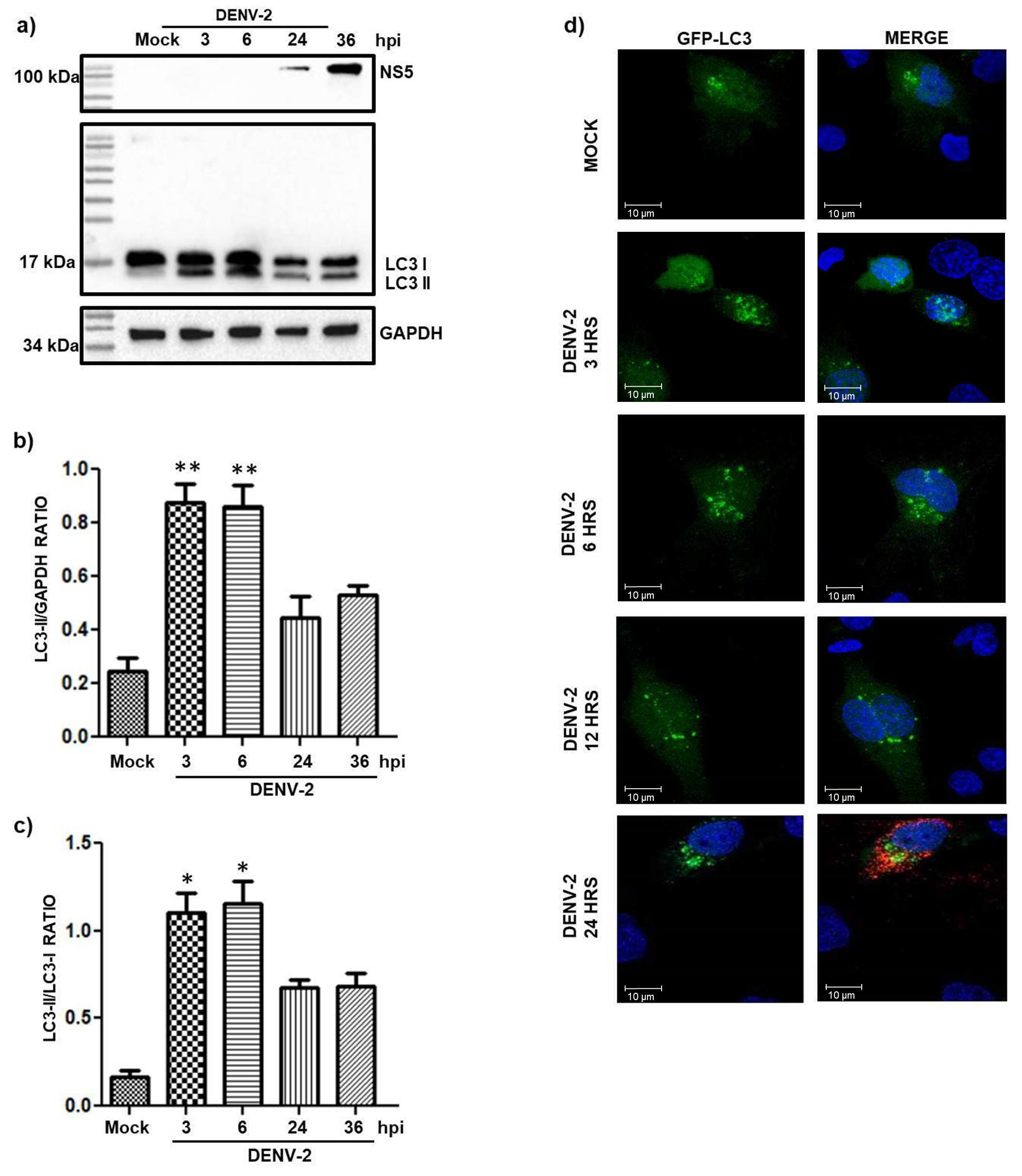 Pathogens 14 01292 g002 Pathogens 14 01292 g002