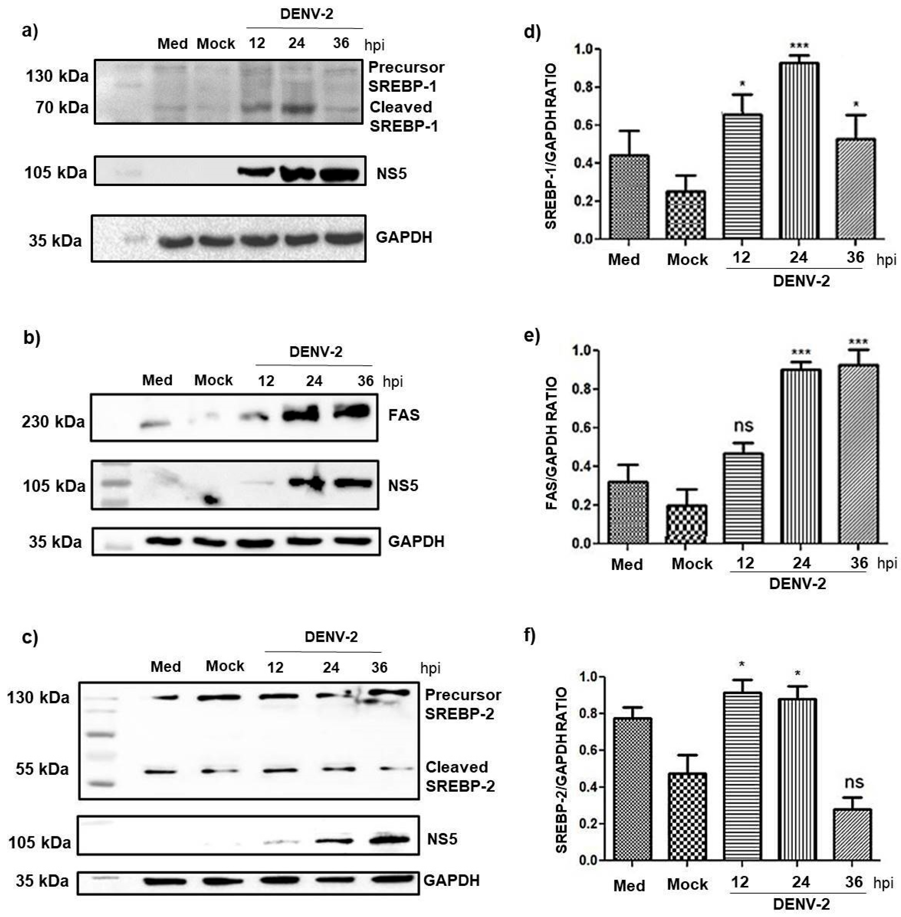 Pathogens 14 01292 g004 Pathogens 14 01292 g004