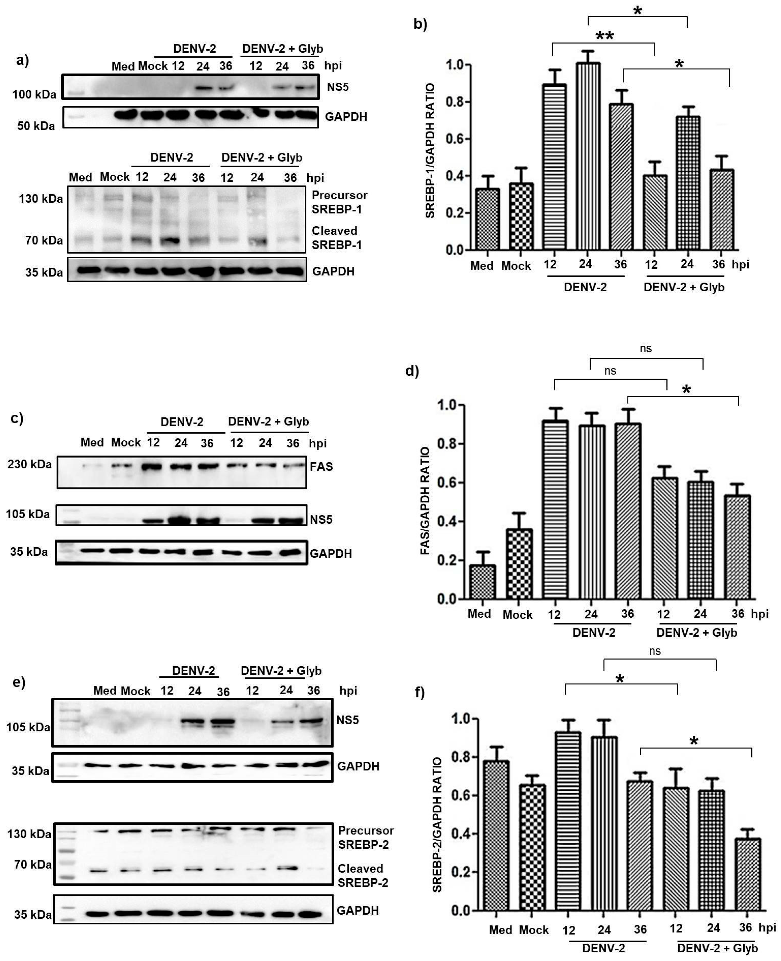 Pathogens 14 01292 g005 Pathogens 14 01292 g005