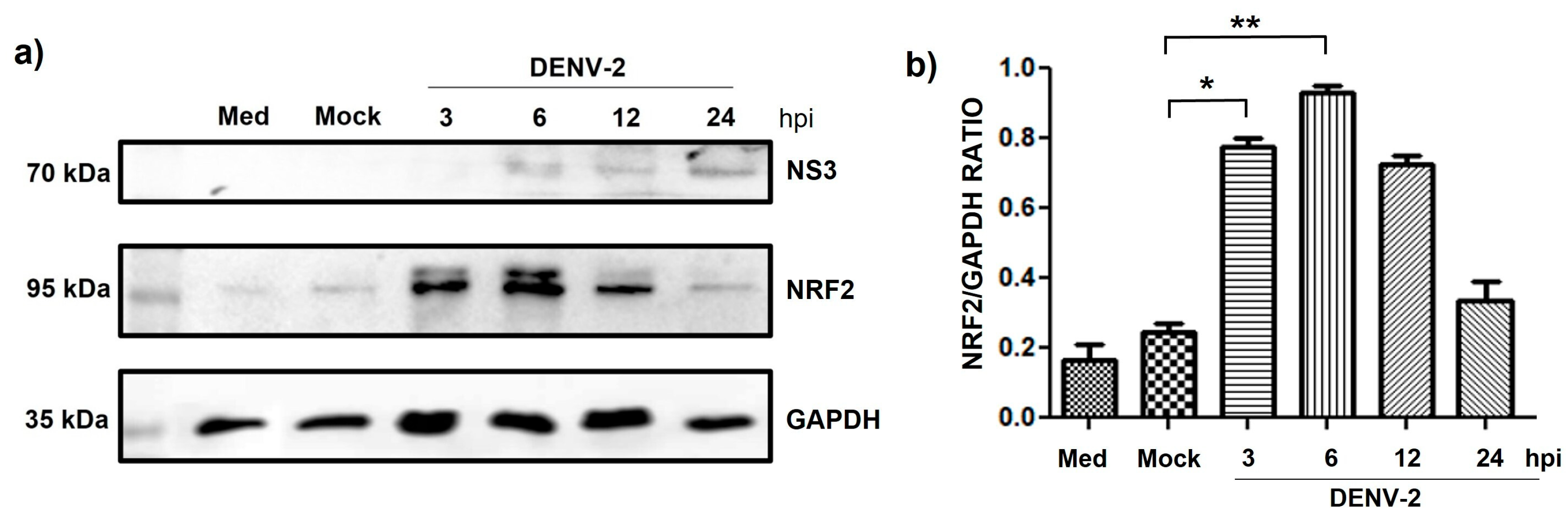 Pathogens 14 01292 g006 Pathogens 14 01292 g006