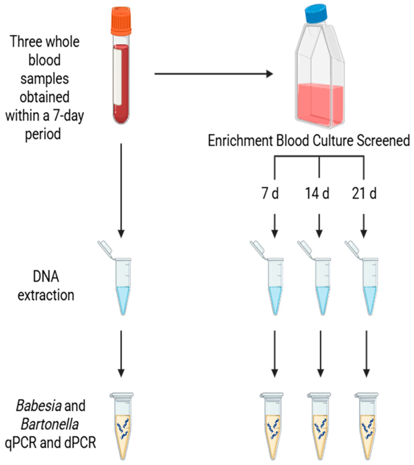 Pathogens 15 00002 g001