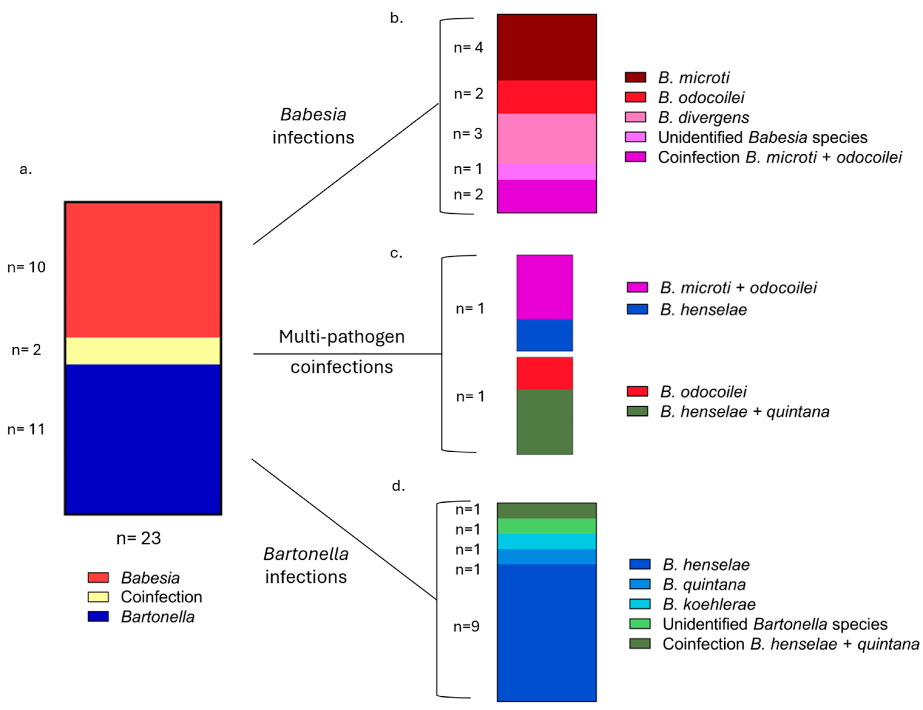 Pathogens 15 00002 g002