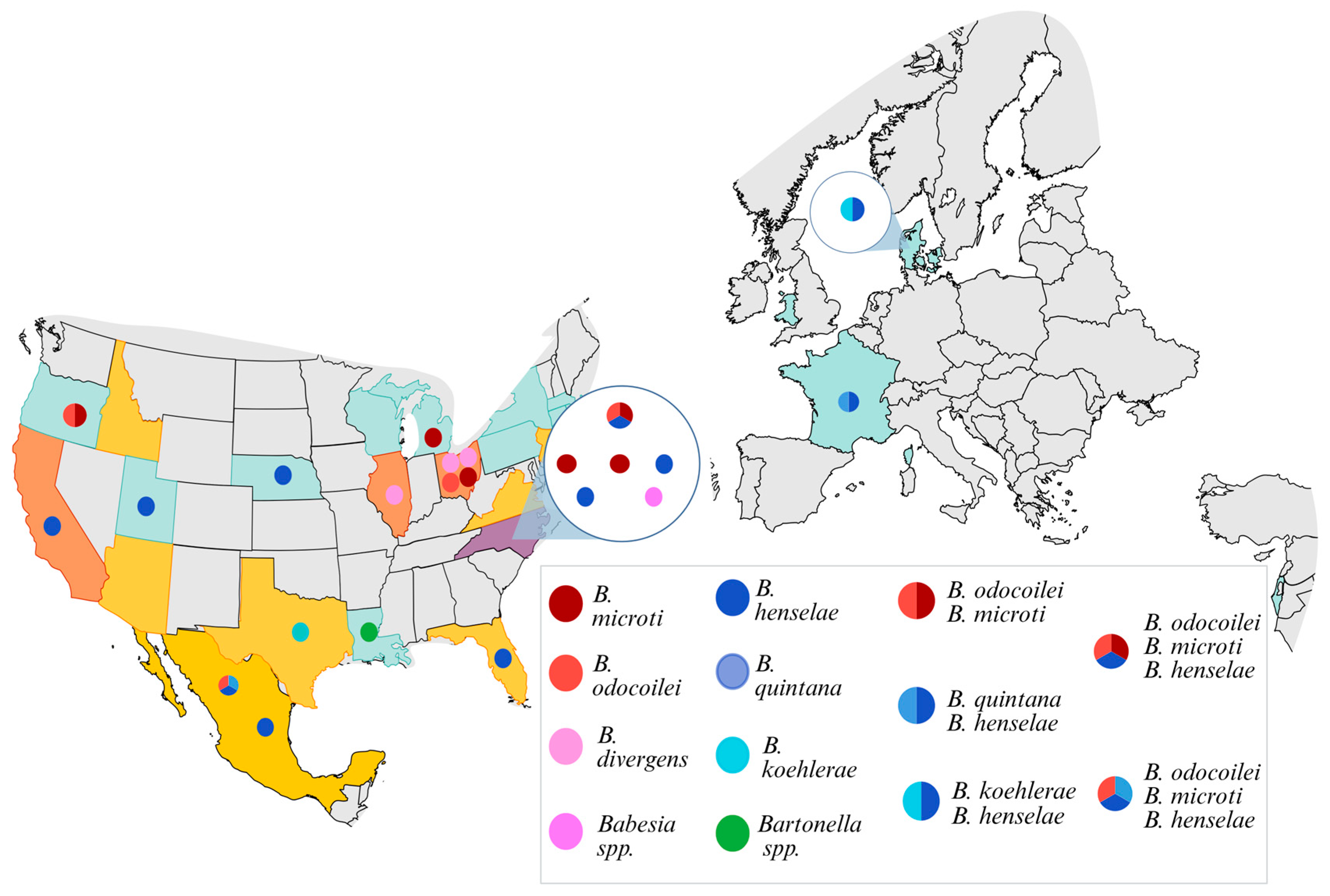 Pathogens 15 00002 g003