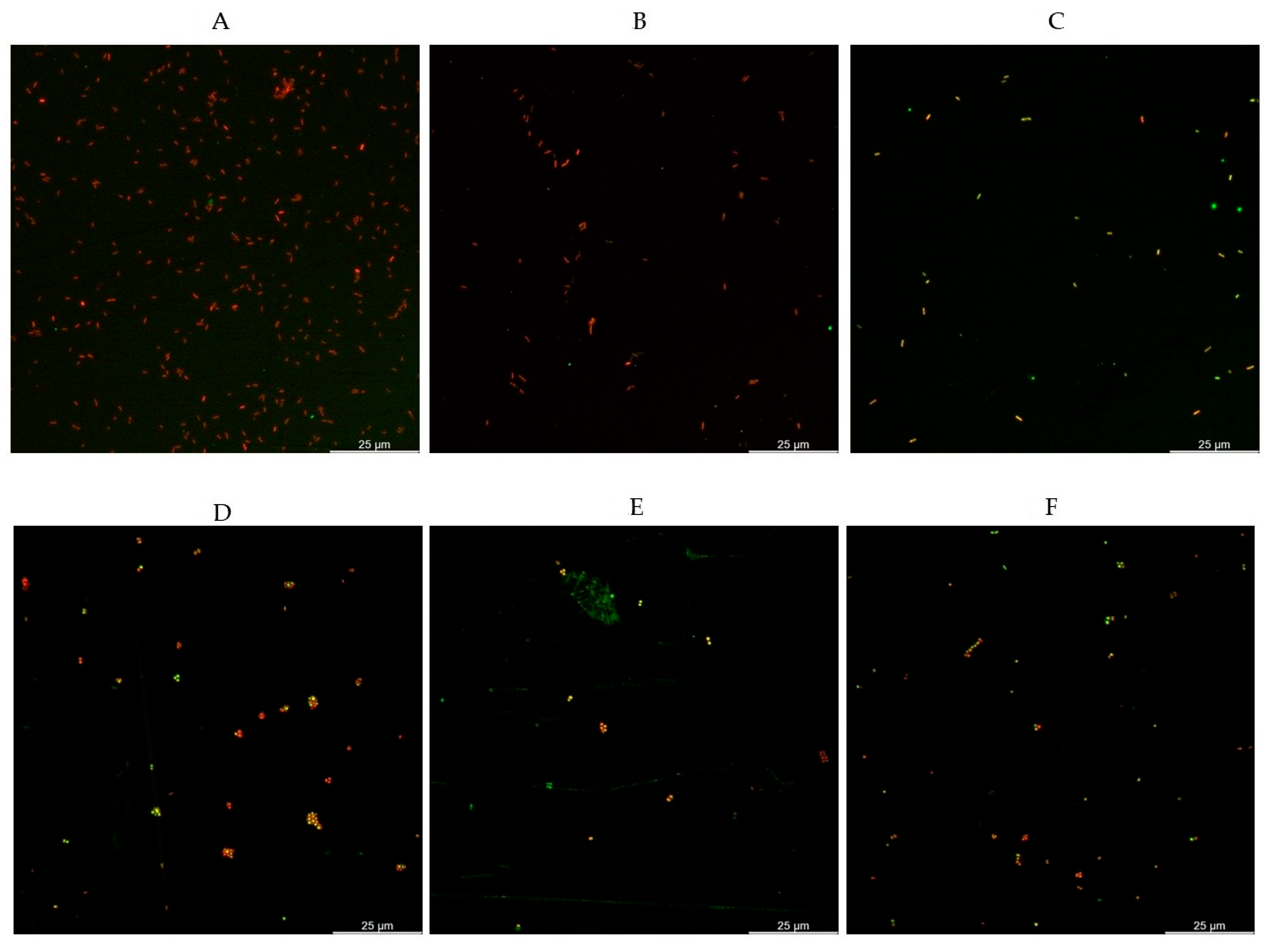 Pathogens 15 00049 g002 Pathogens 15 00049 g002