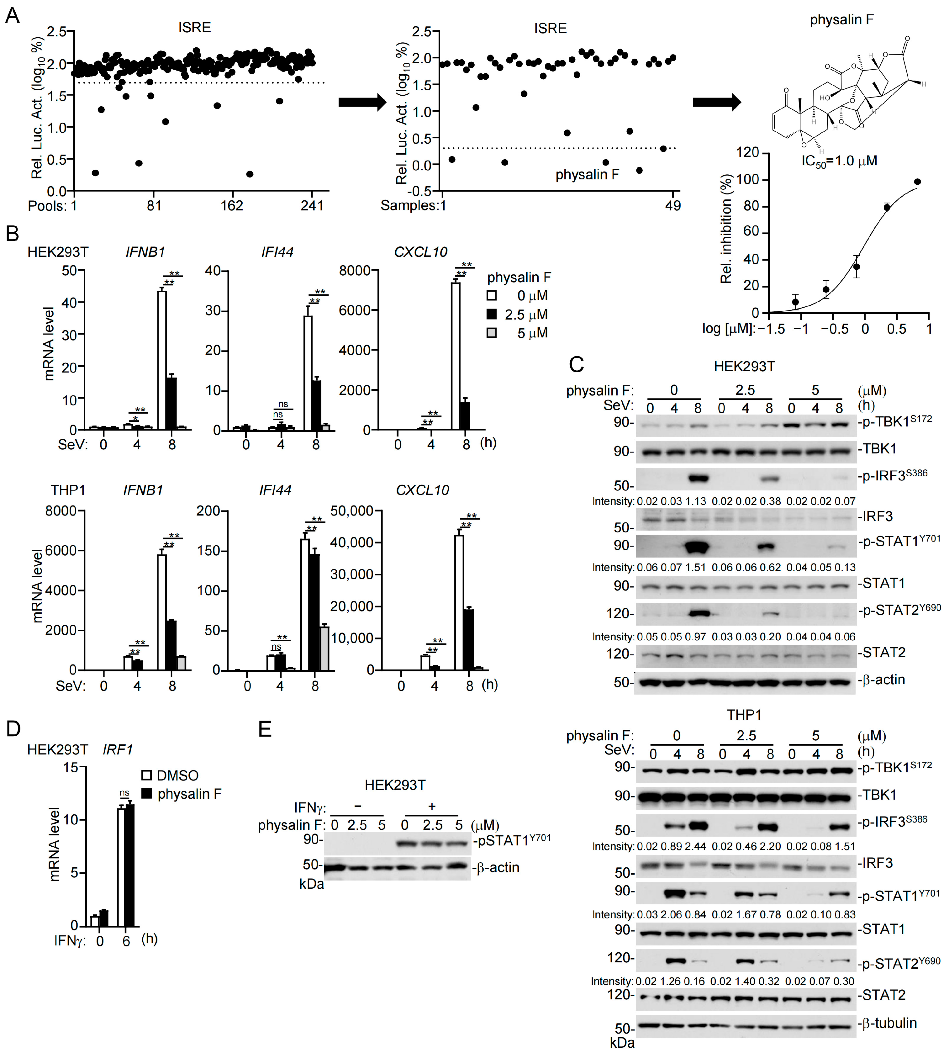 Pathogens 15 00074 g001 Pathogens 15 00074 g001