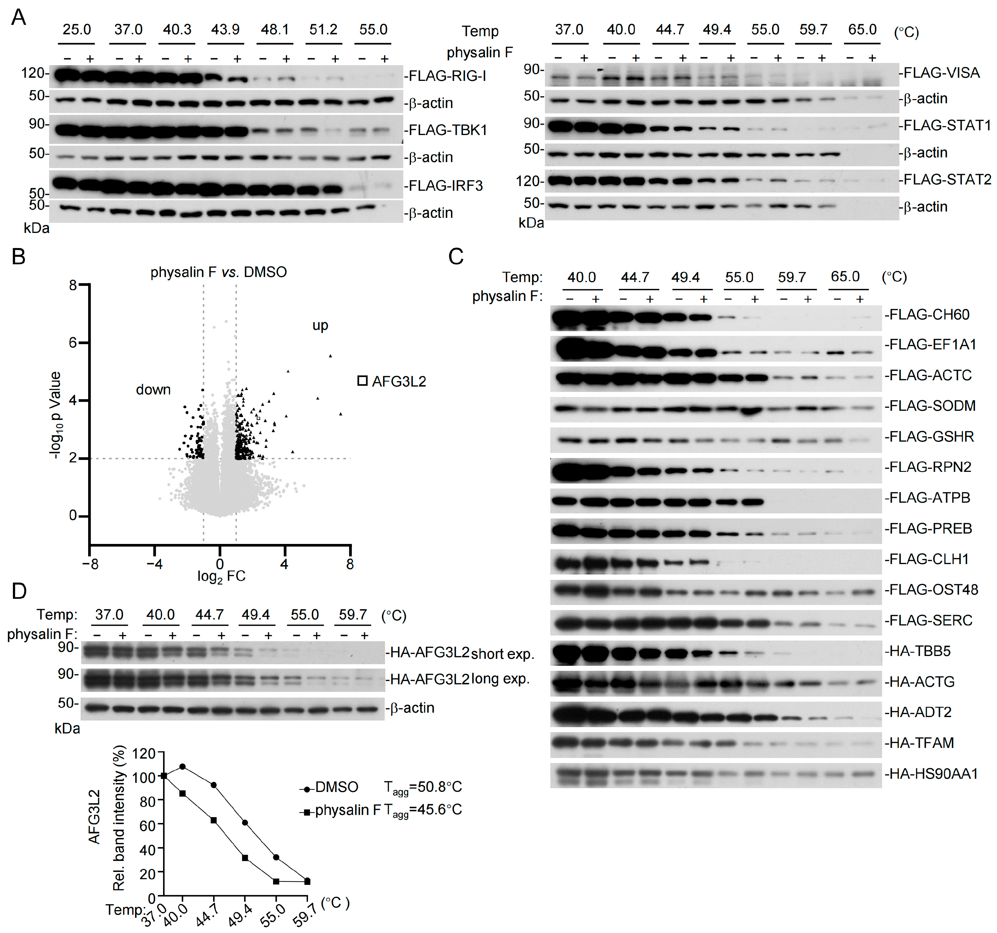 Pathogens 15 00074 g003 Pathogens 15 00074 g003