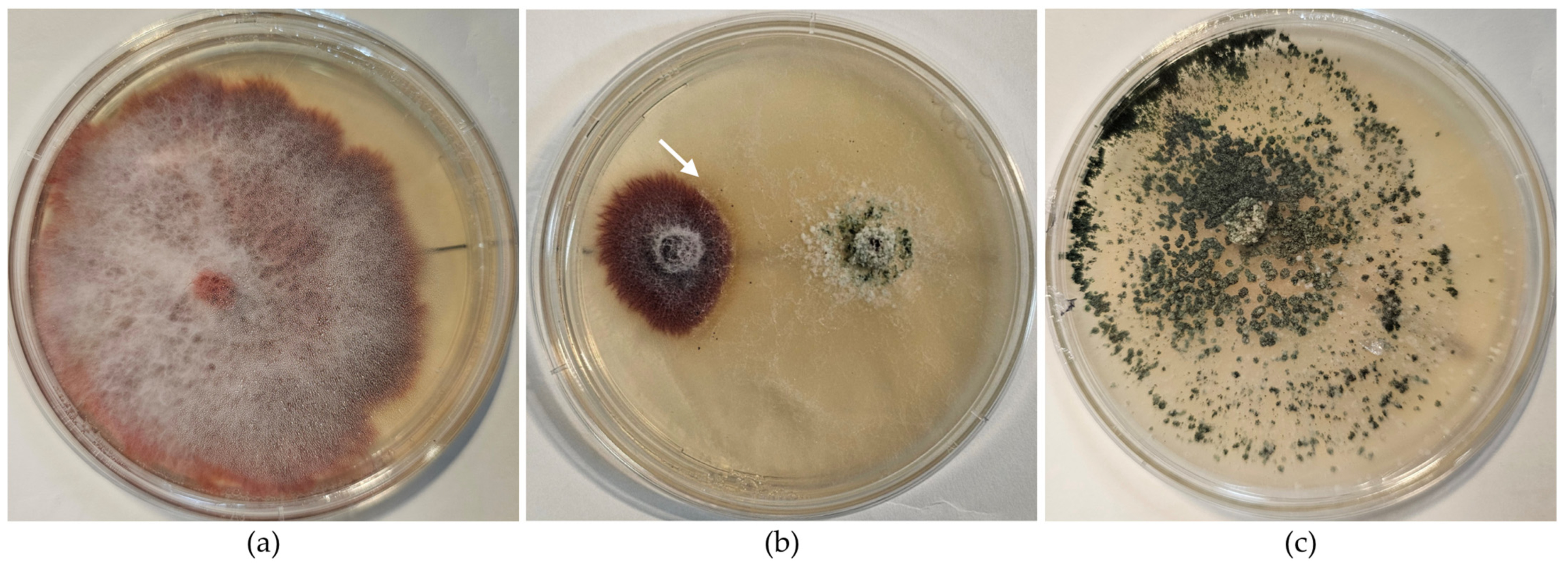 Pathogens 15 00091 g001 Pathogens 15 00091 g001
