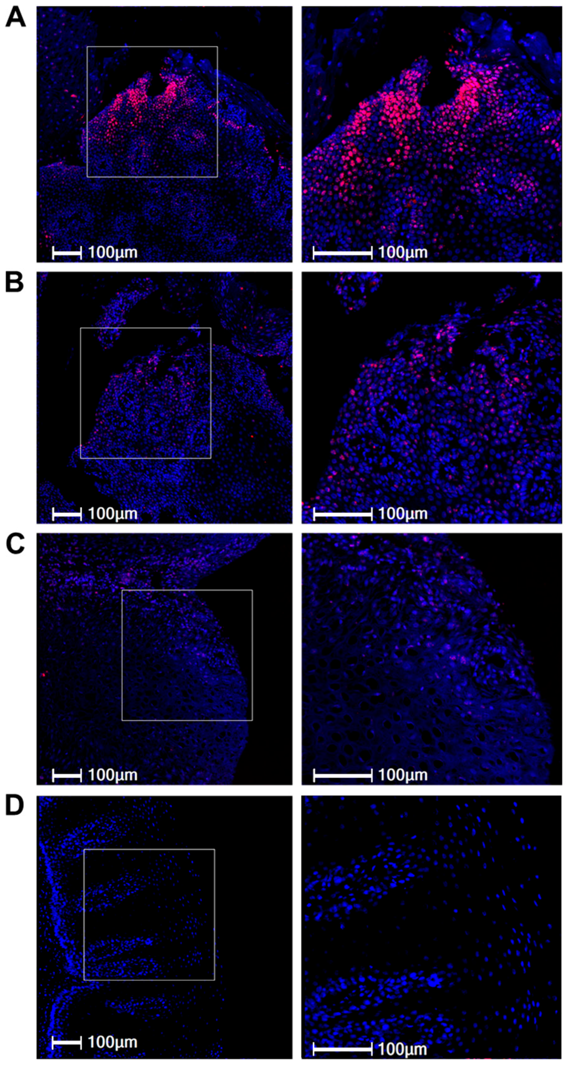 Pathogens 15 00096 g002 Pathogens 15 00096 g002