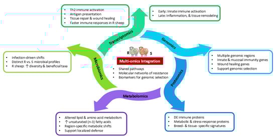 Omics strategies for studying genetic resistance to GIN infections in sheep.