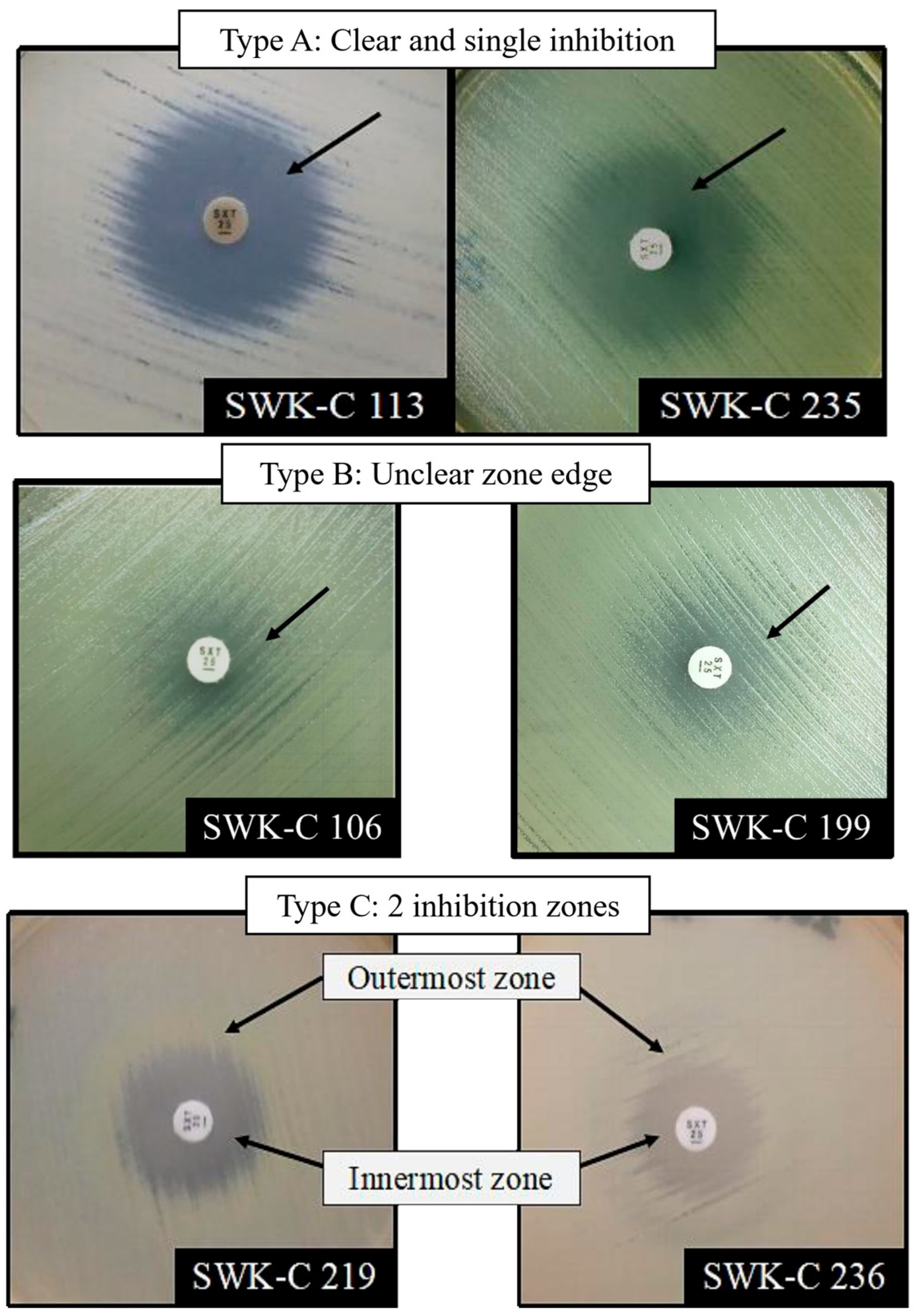 Pathogens 15 00110 g002 Pathogens 15 00110 g002