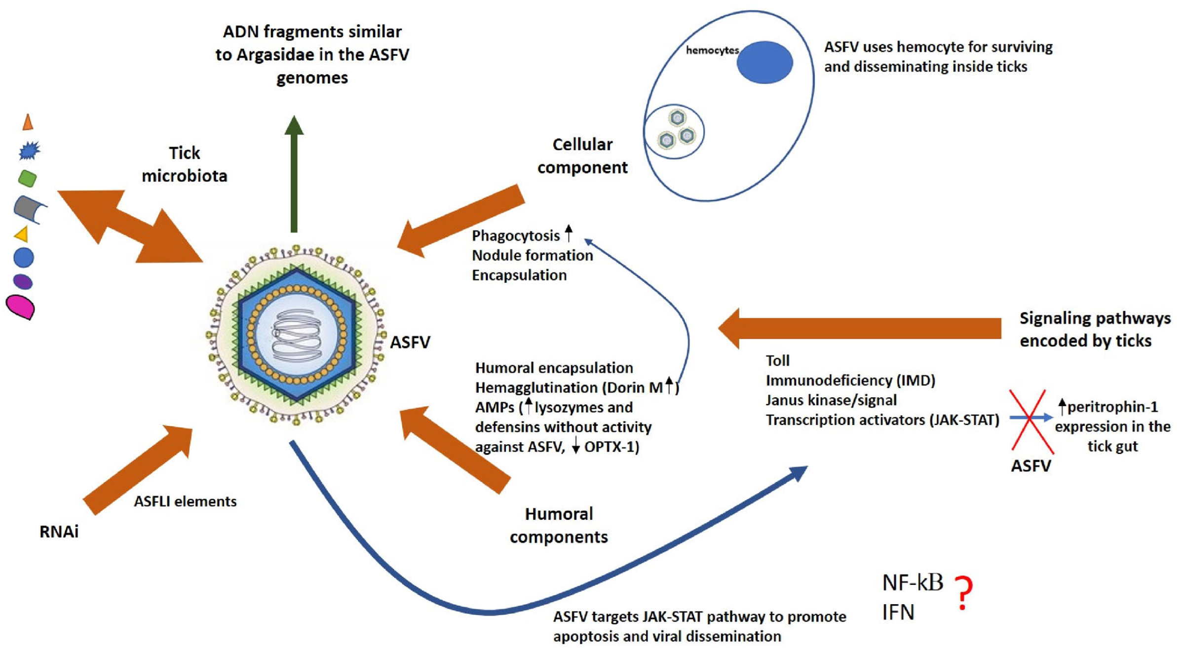 Pathogens 15 00116 g003 Pathogens 15 00116 g003
