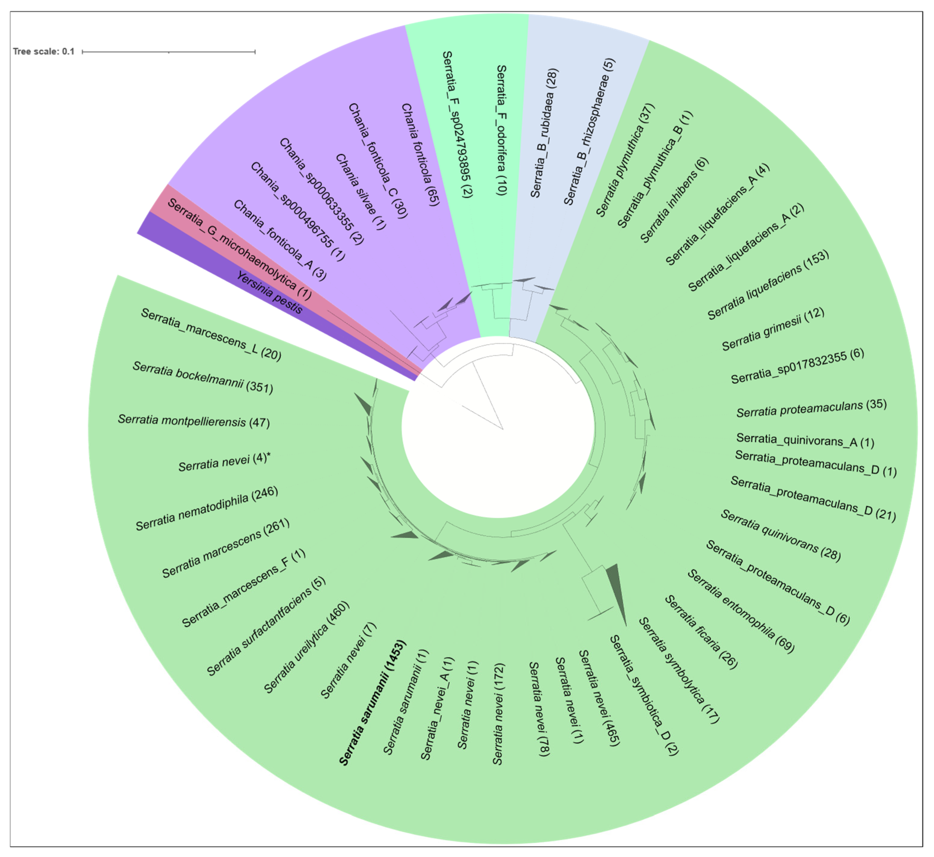 Pathogens 15 00140 g002 Pathogens 15 00140 g002