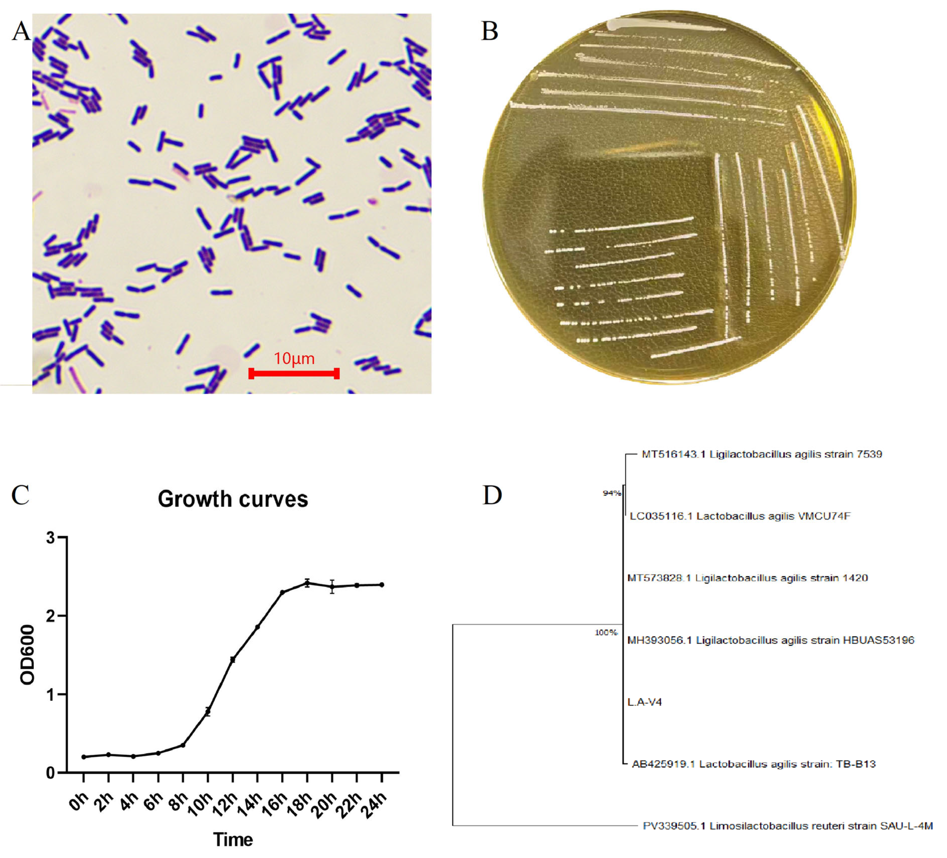 Pathogens 15 00148 g001