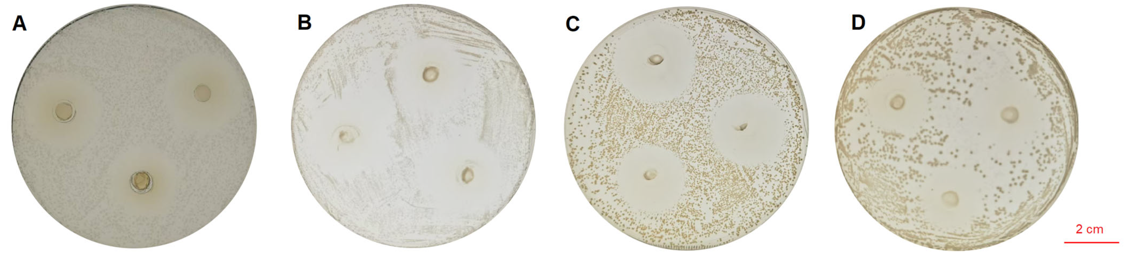 Pathogens 15 00148 g002
