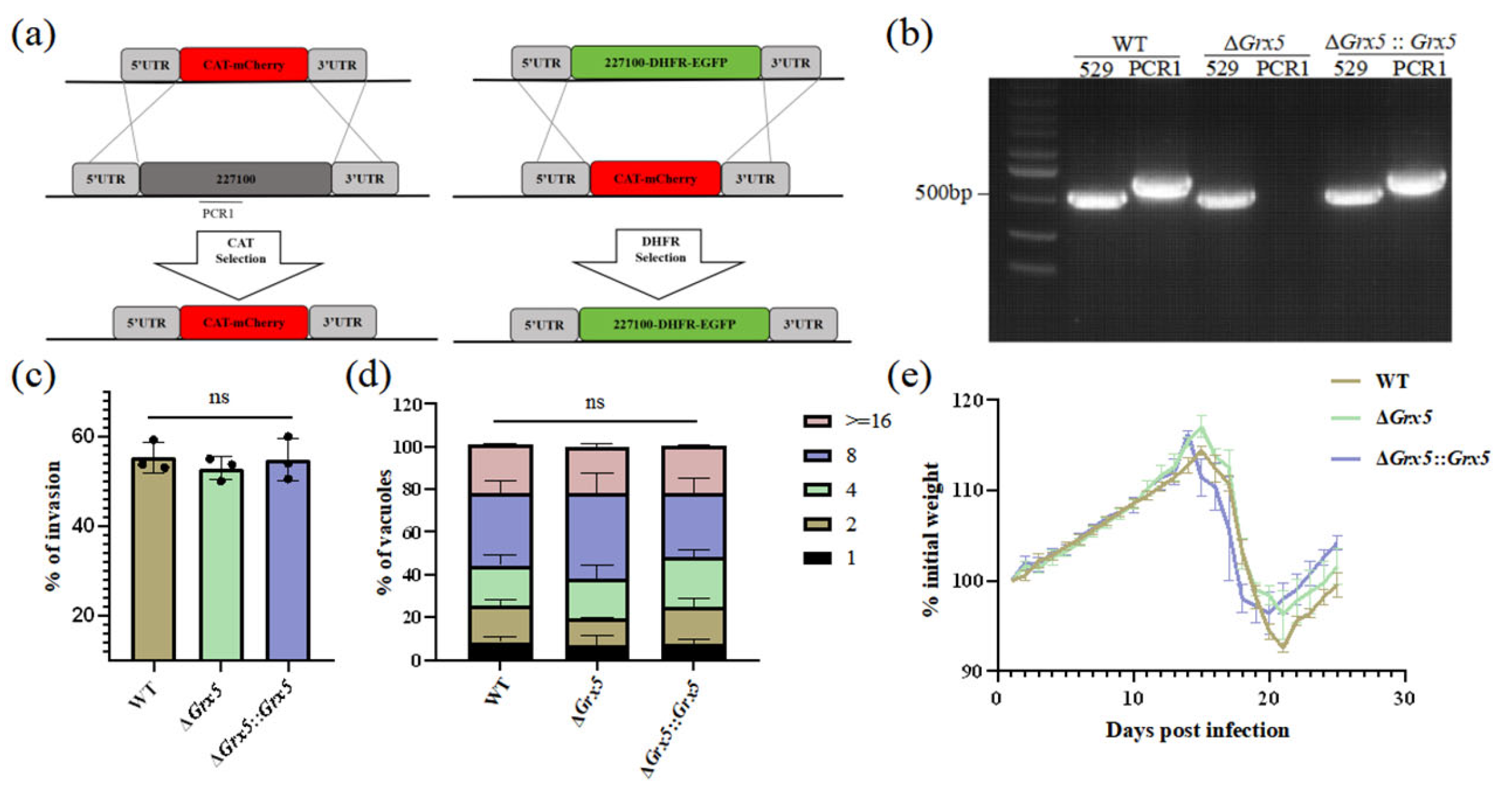 Pathogens 15 00150 g001