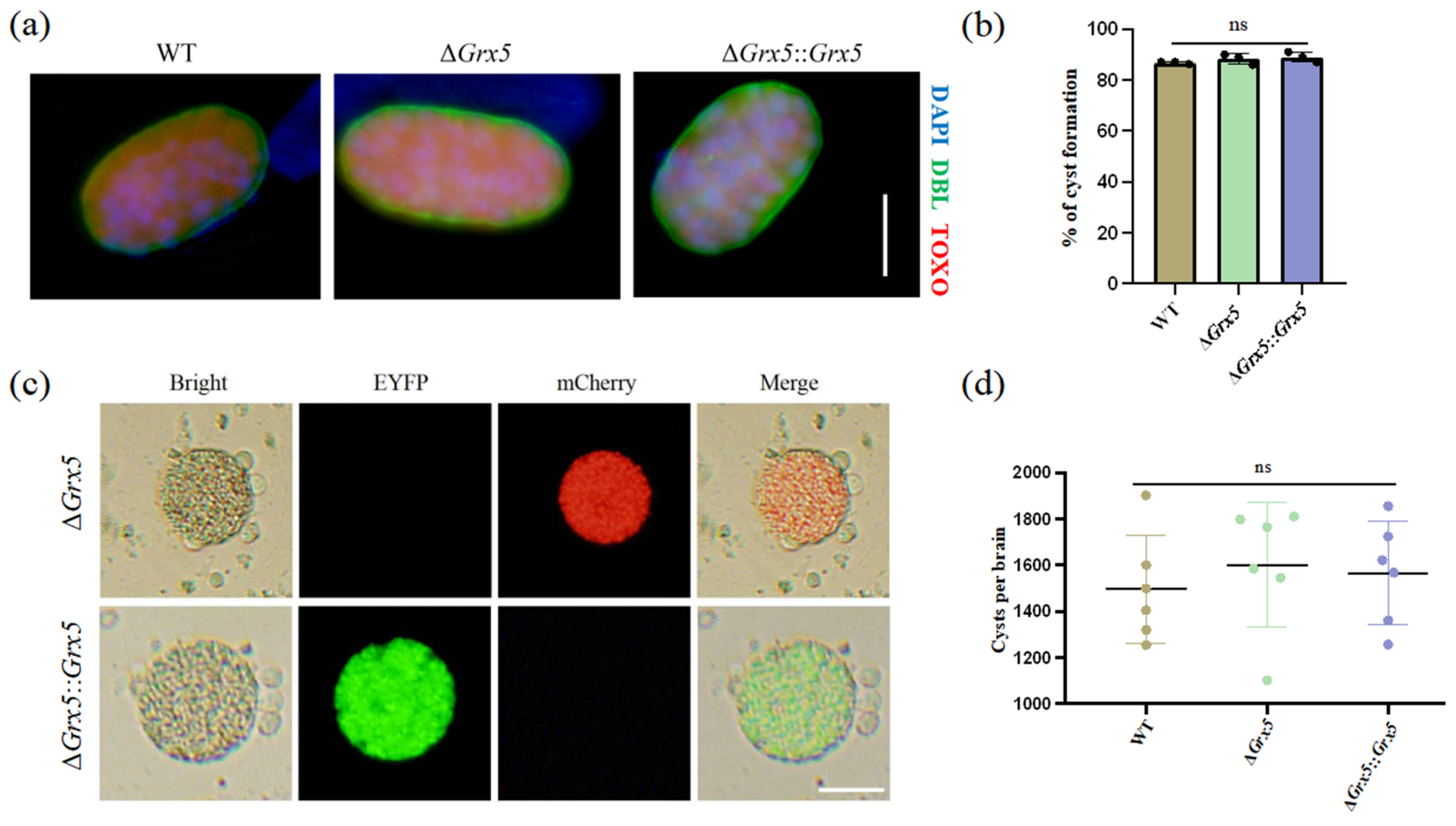 Pathogens 15 00150 g002