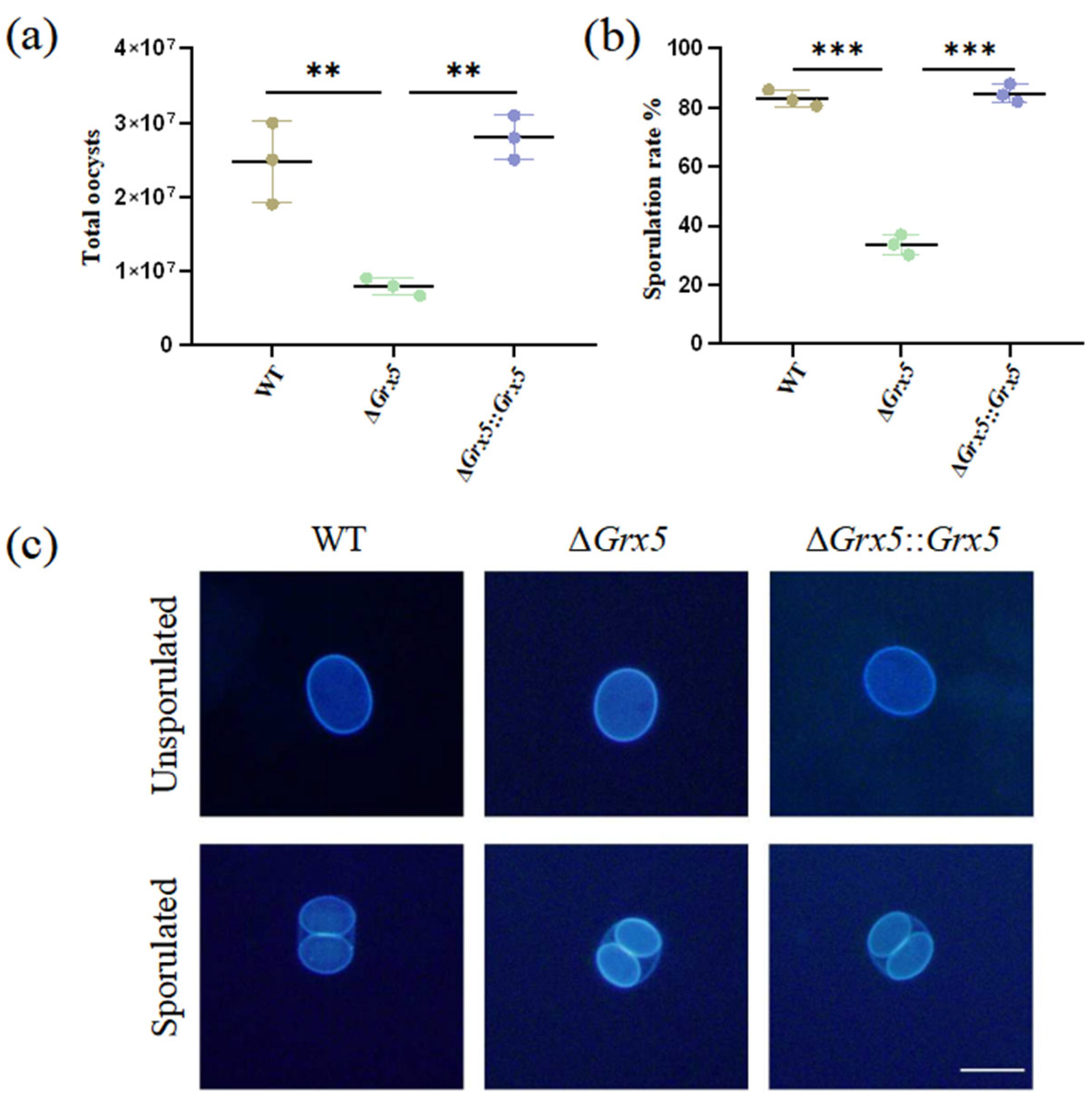 Pathogens 15 00150 g003