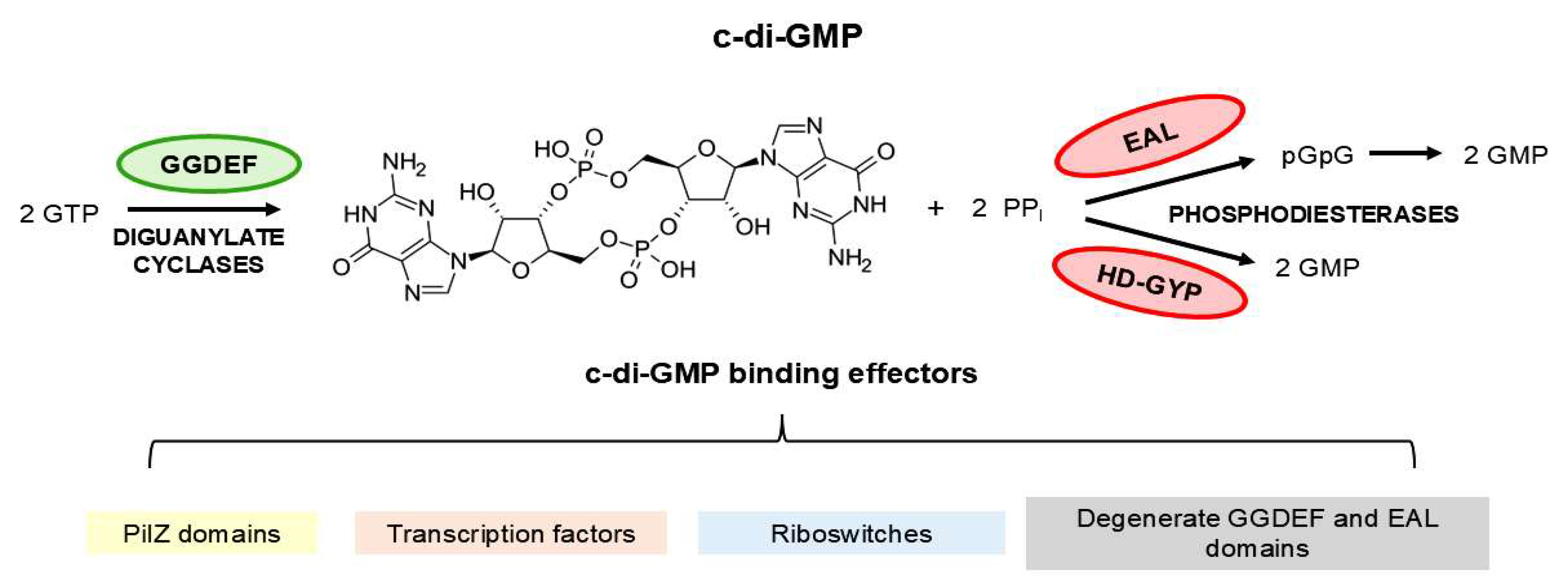 Pathogens 15 00151 g001 Pathogens 15 00151 g001