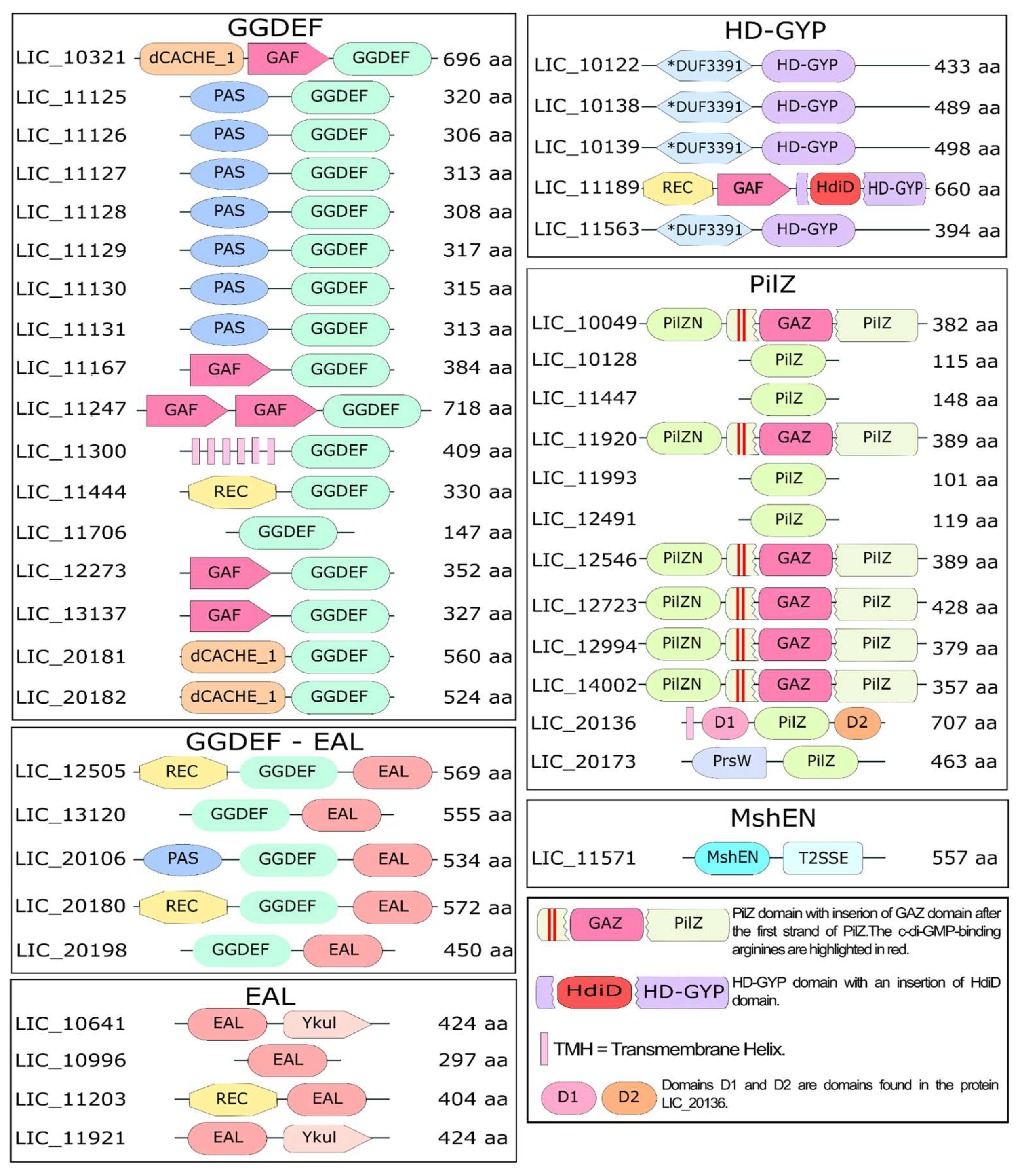 Pathogens 15 00151 g003 Pathogens 15 00151 g003