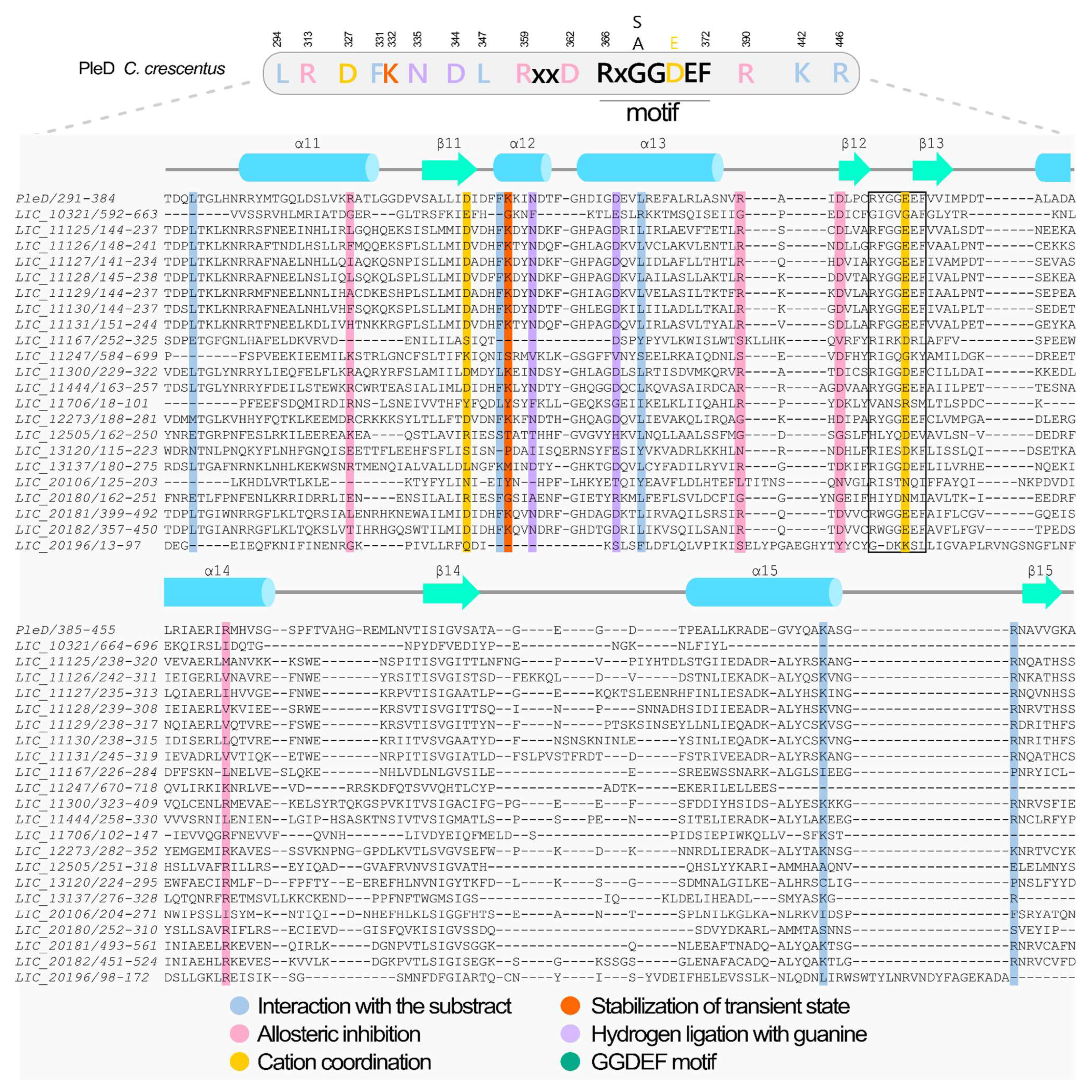 Pathogens 15 00151 g004 Pathogens 15 00151 g004