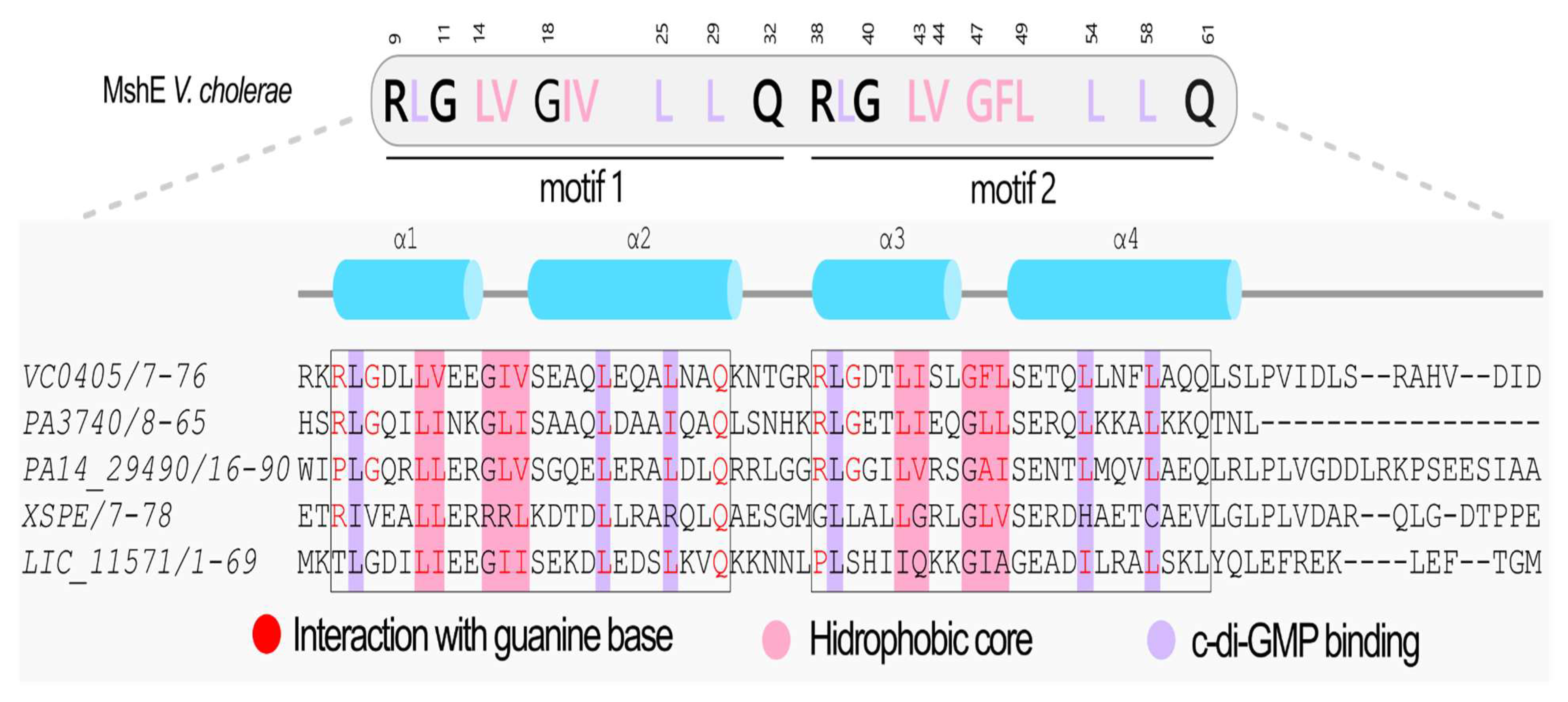 Pathogens 15 00151 g008 Pathogens 15 00151 g008