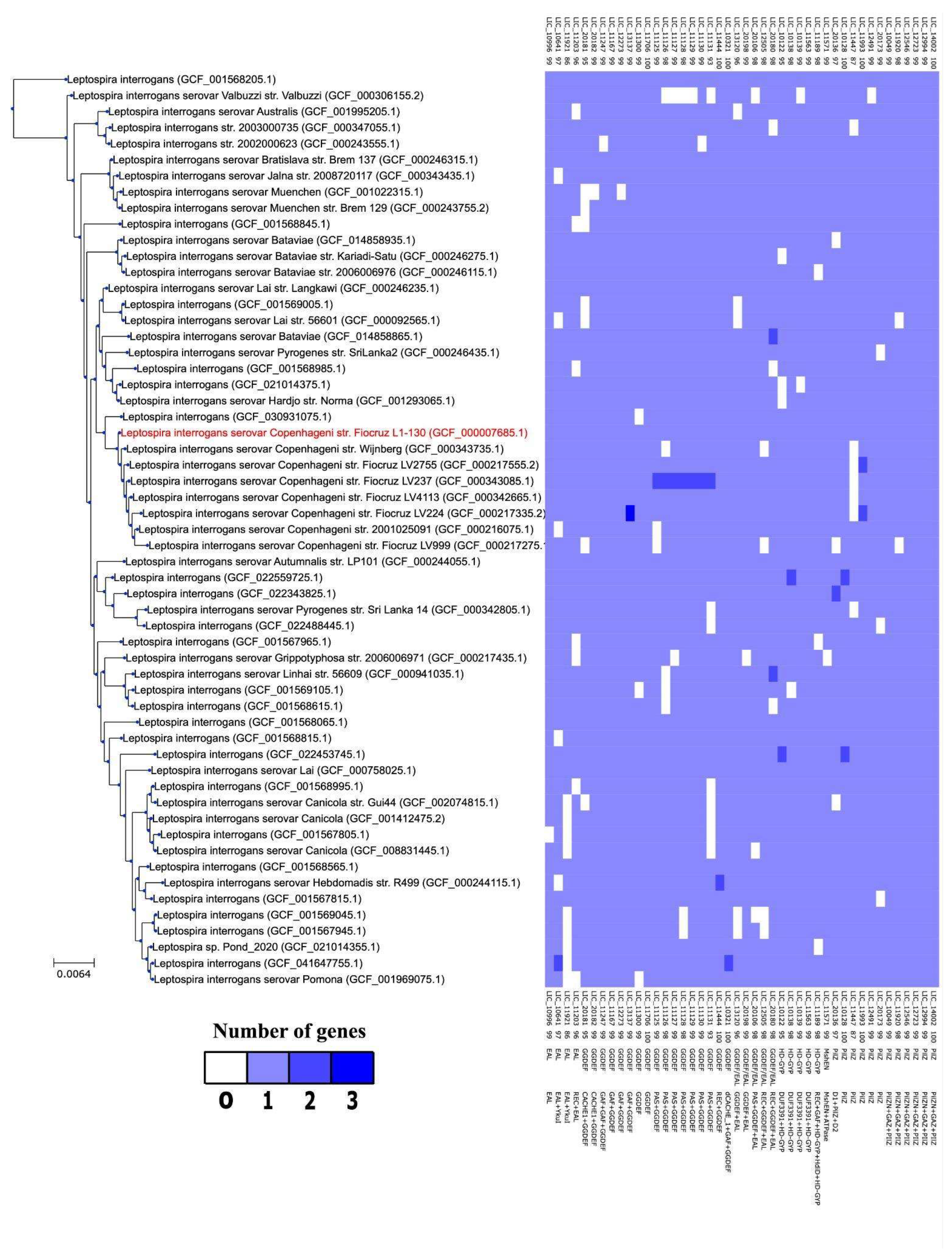 Pathogens 15 00151 g009 Pathogens 15 00151 g009
