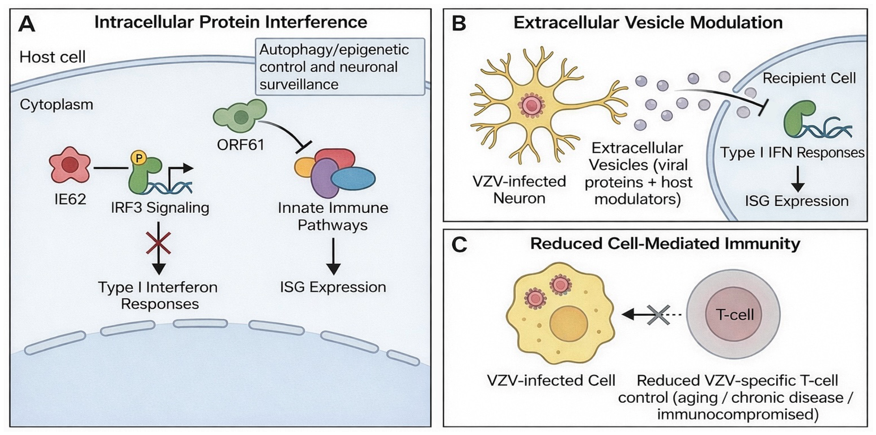 Pathogens 15 00157 g003