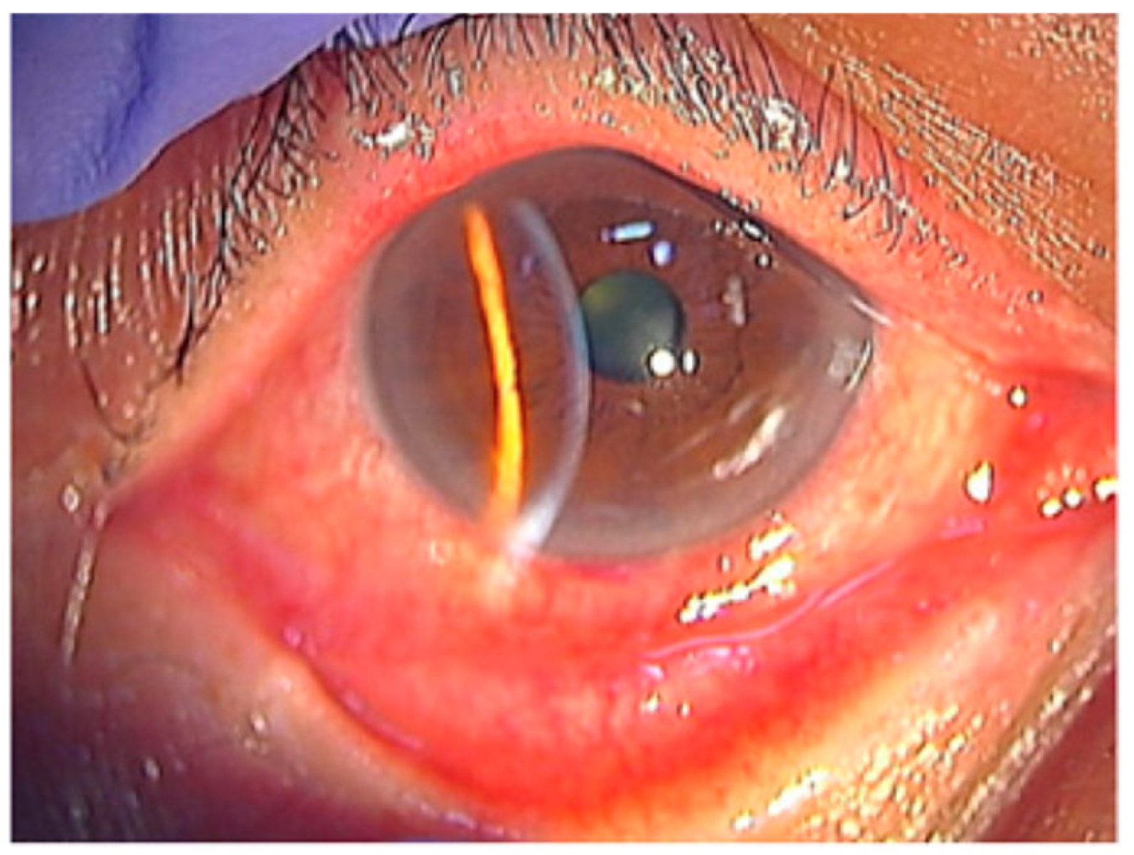 Pathogens 15 00157 g004