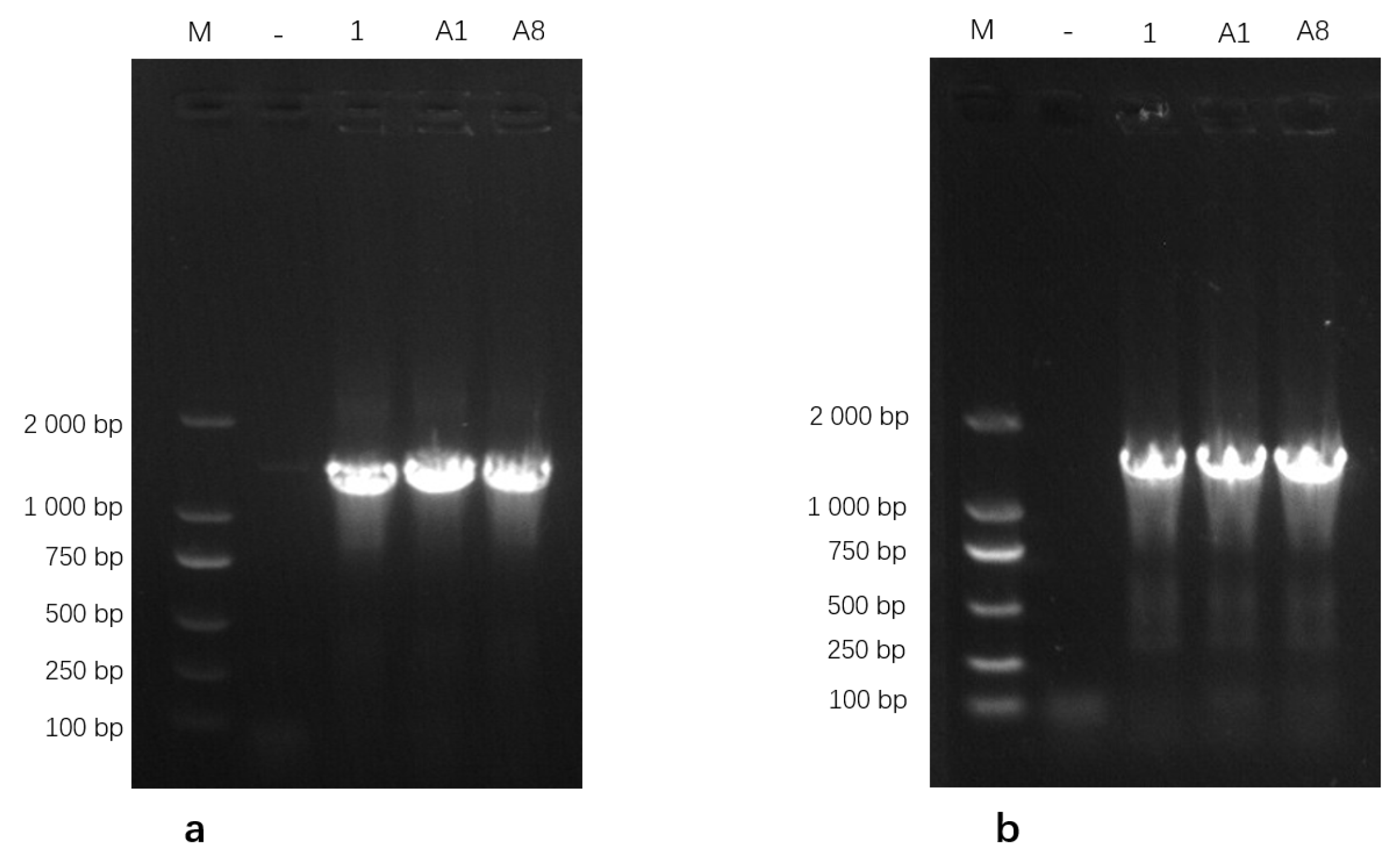 Pathogens 15 00162 g002
