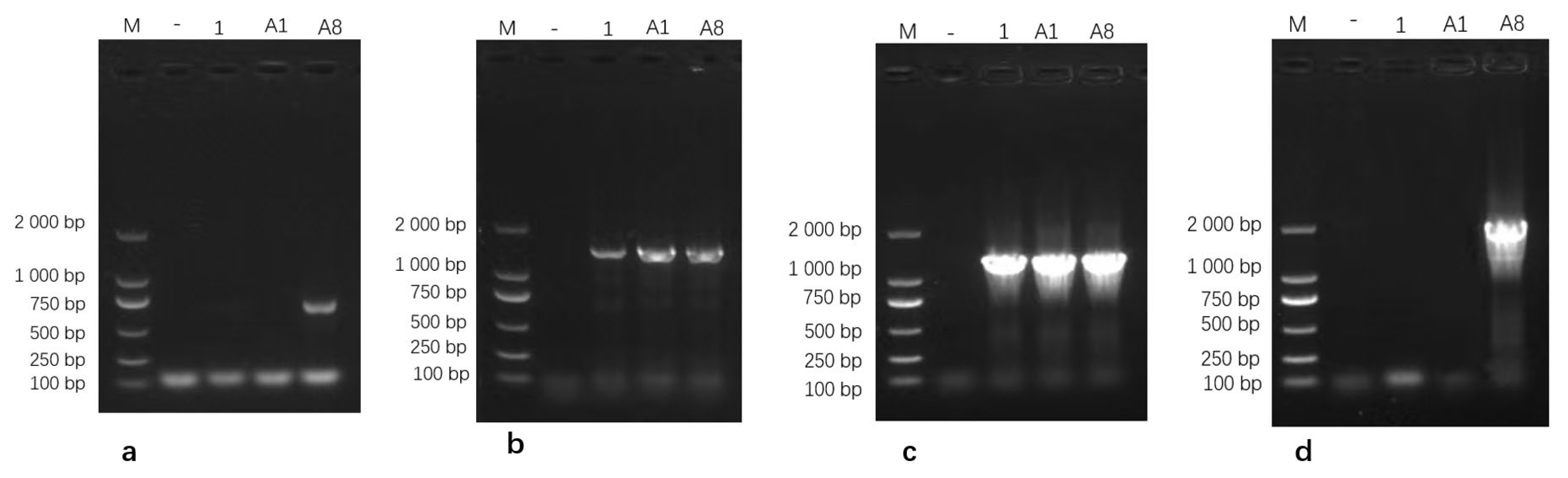 Pathogens 15 00162 g005