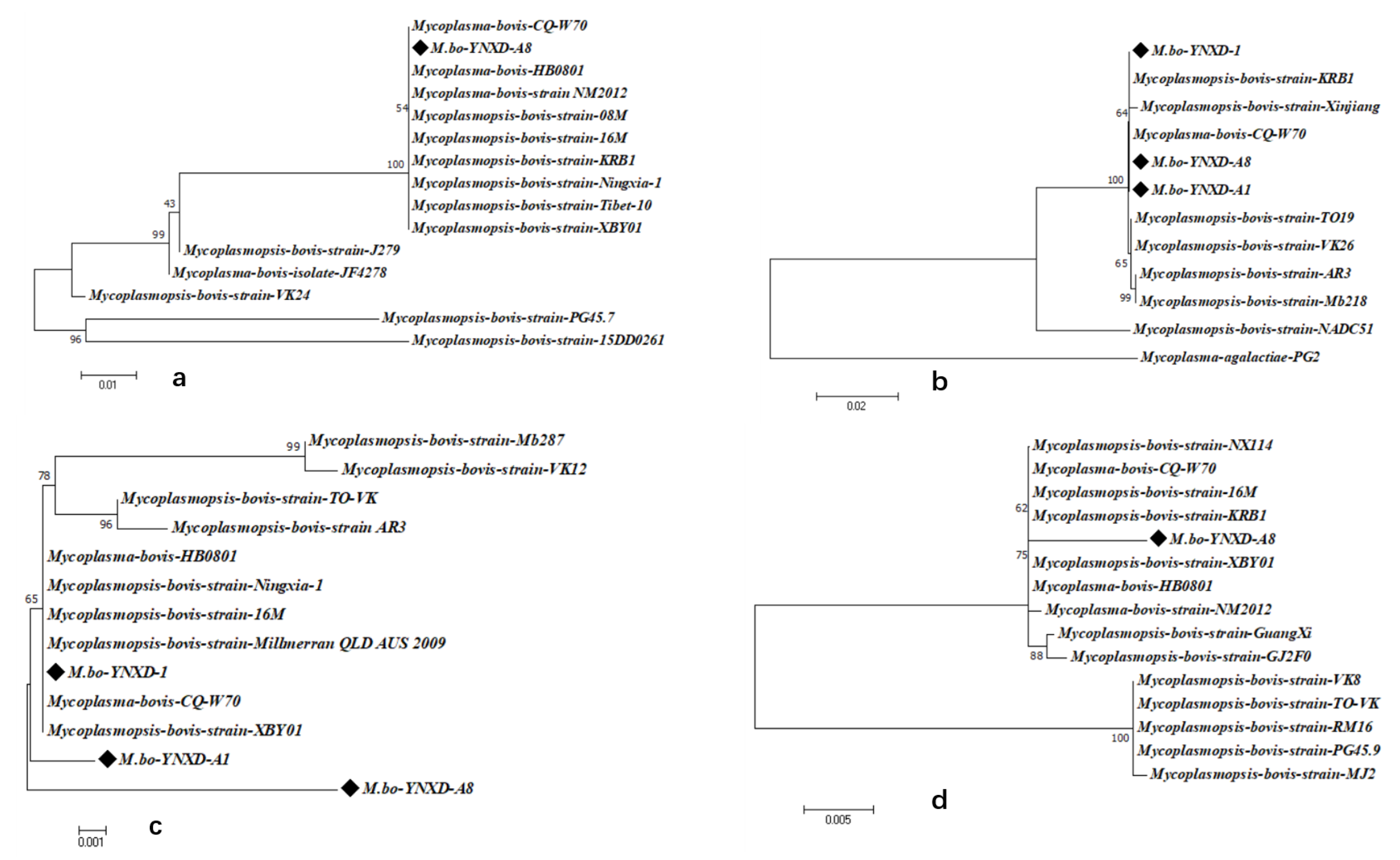 Pathogens 15 00162 g006