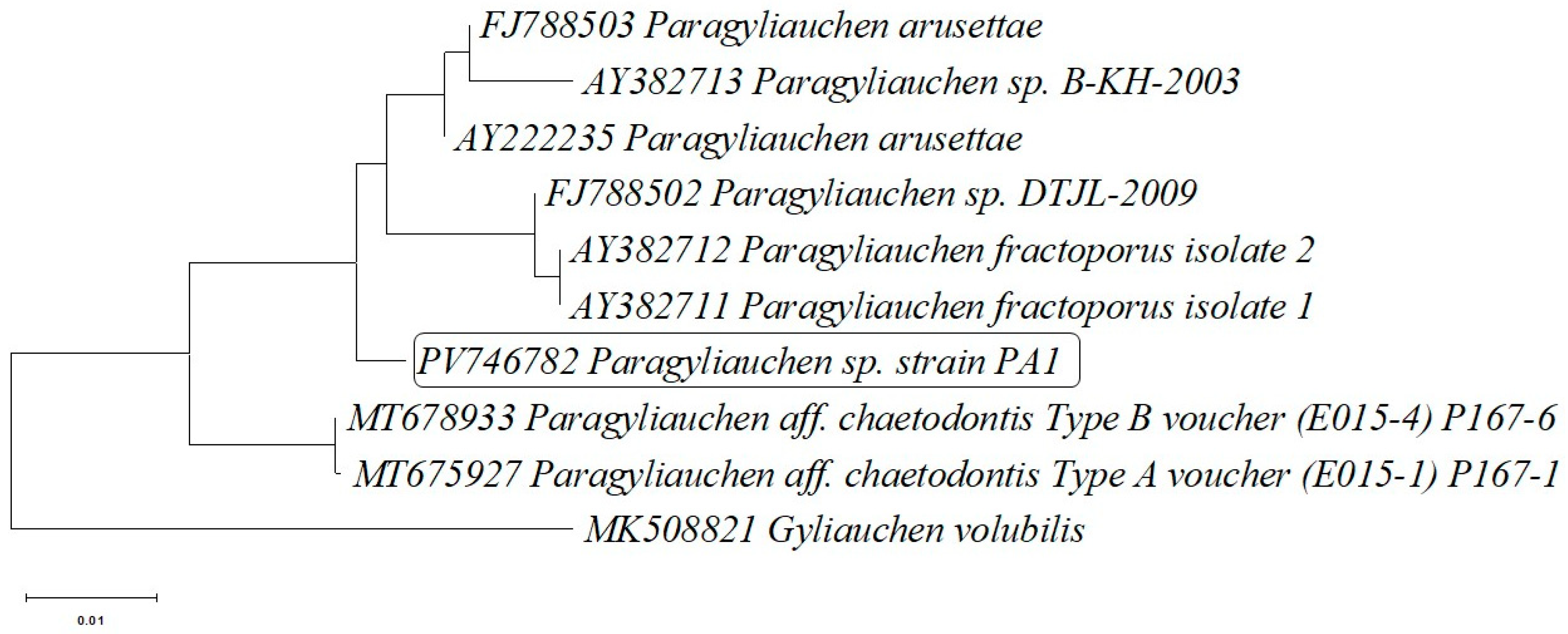 Pathogens 15 00245 g002 Pathogens 15 00245 g002