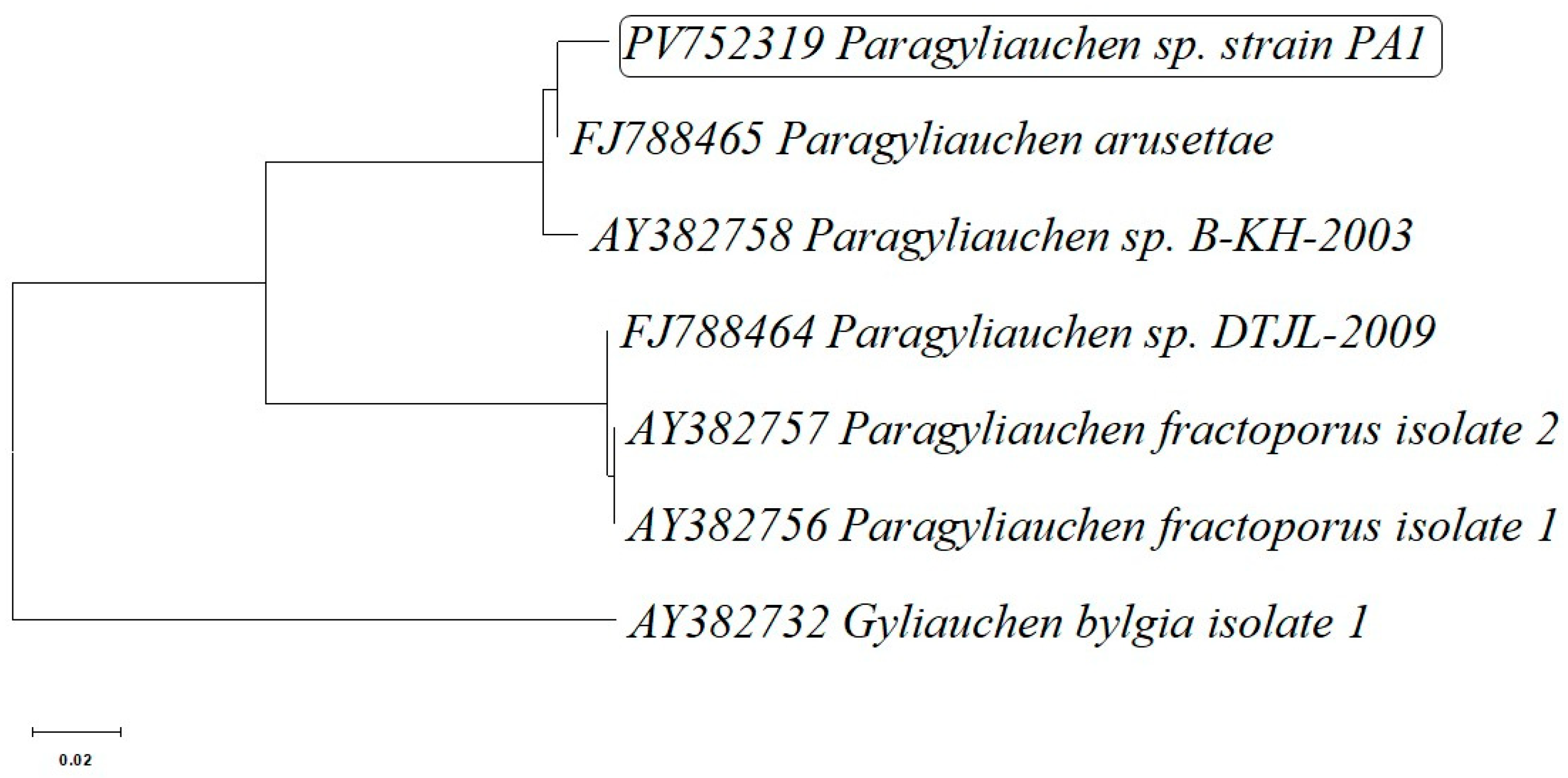 Pathogens 15 00245 g003 Pathogens 15 00245 g003