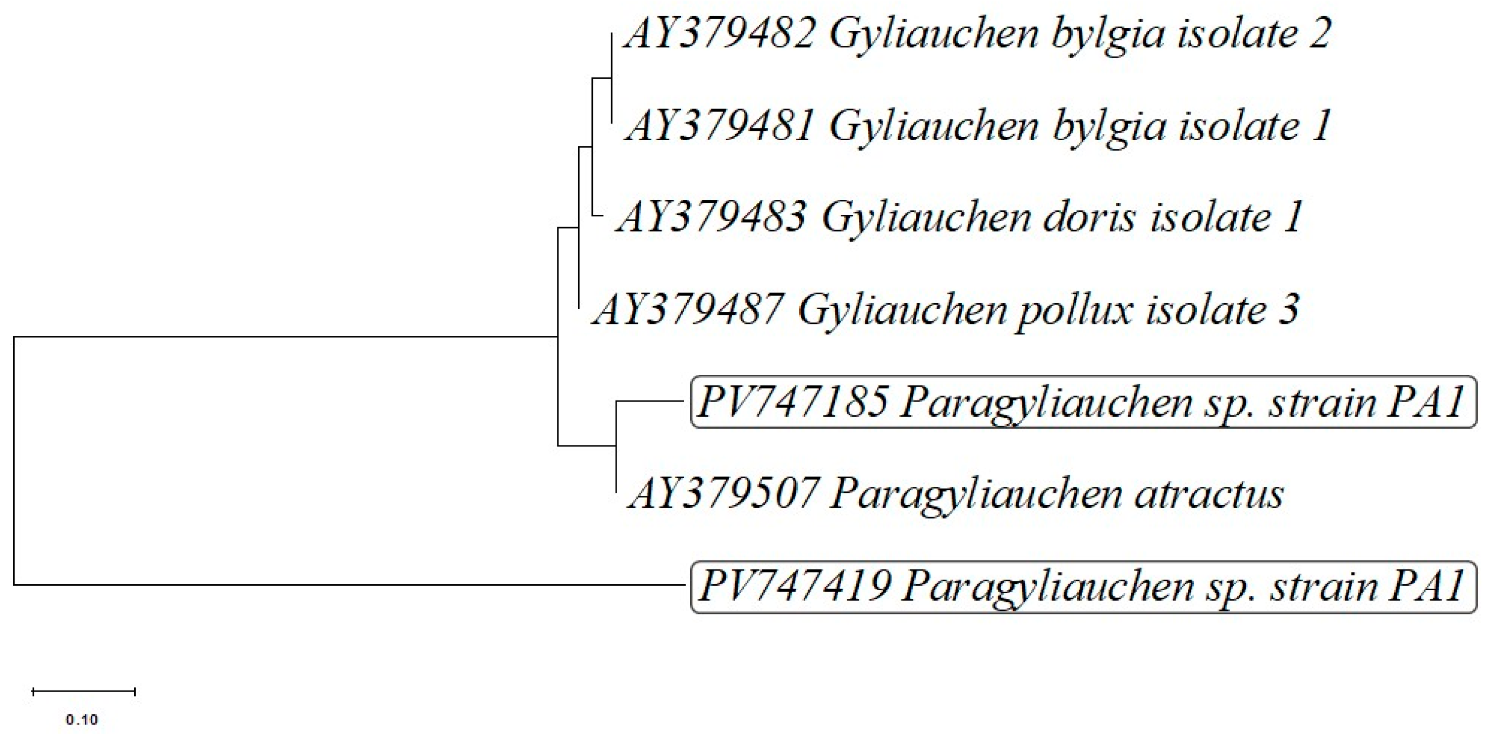 Pathogens 15 00245 g004 Pathogens 15 00245 g004
