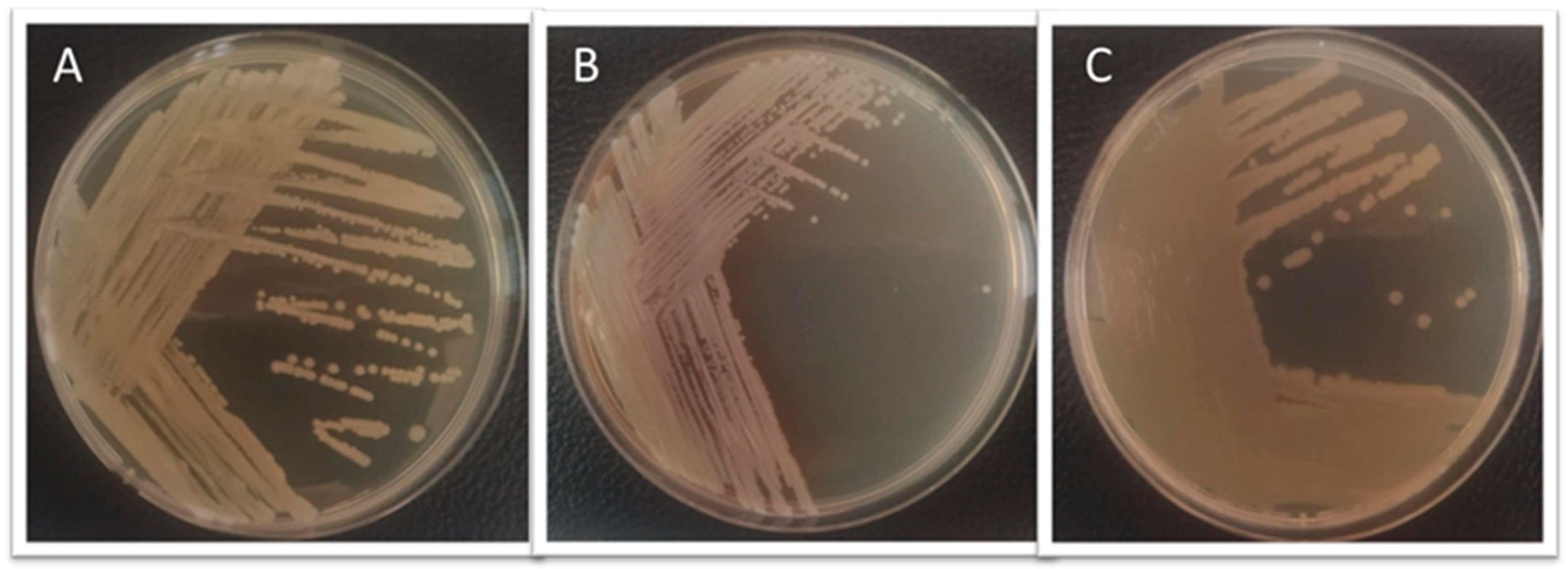 Pathogens 15 00245 g005 Pathogens 15 00245 g005