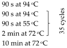 Pathogens 15 00245 i002 Pathogens 15 00245 i002