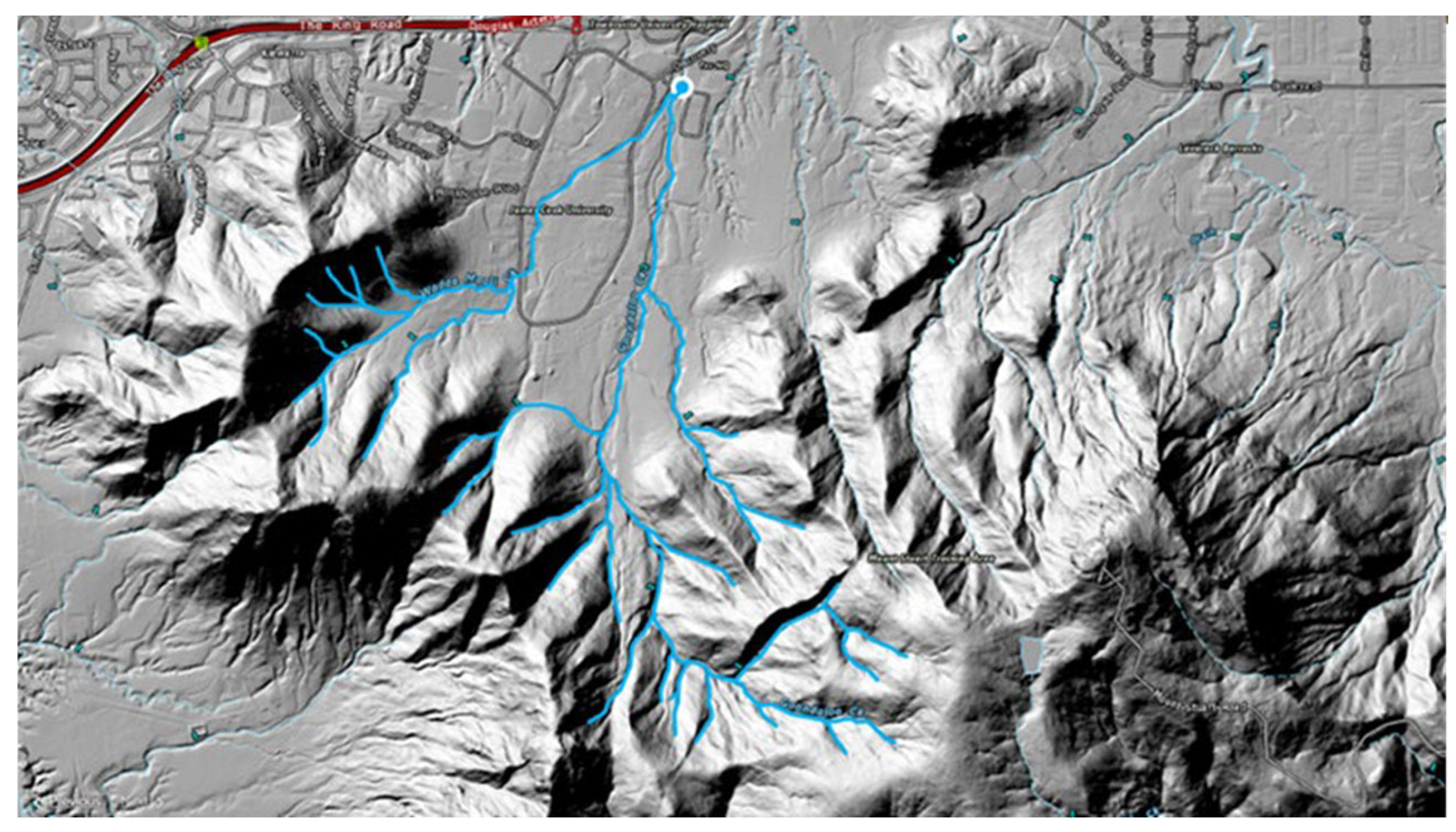 Pathogens 15 00276 g001
