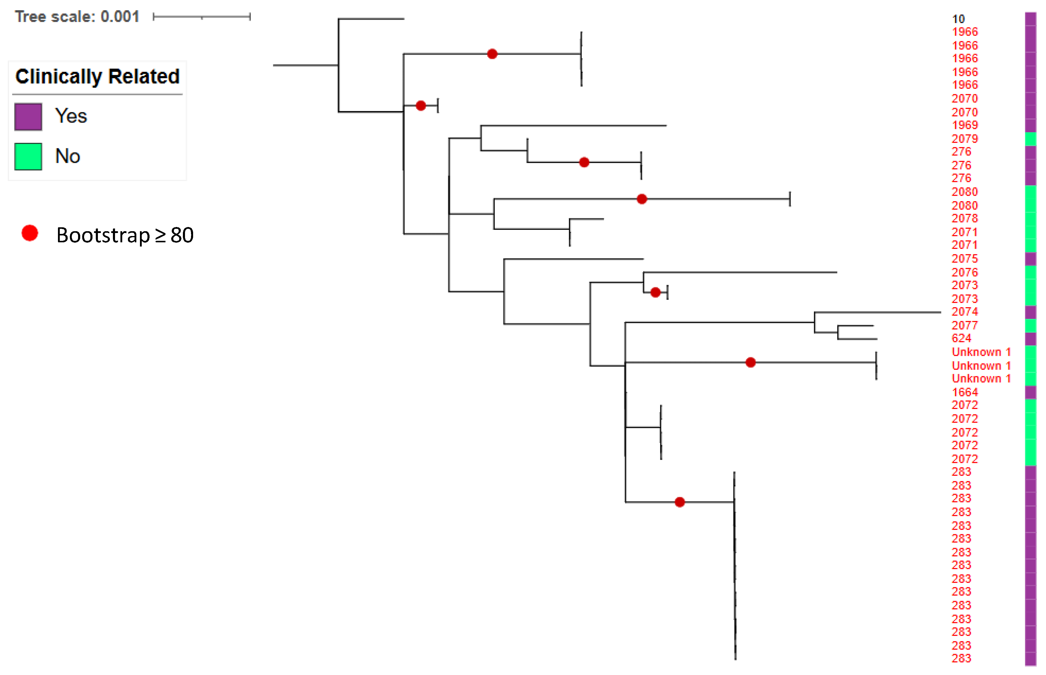 Pathogens 15 00276 g008