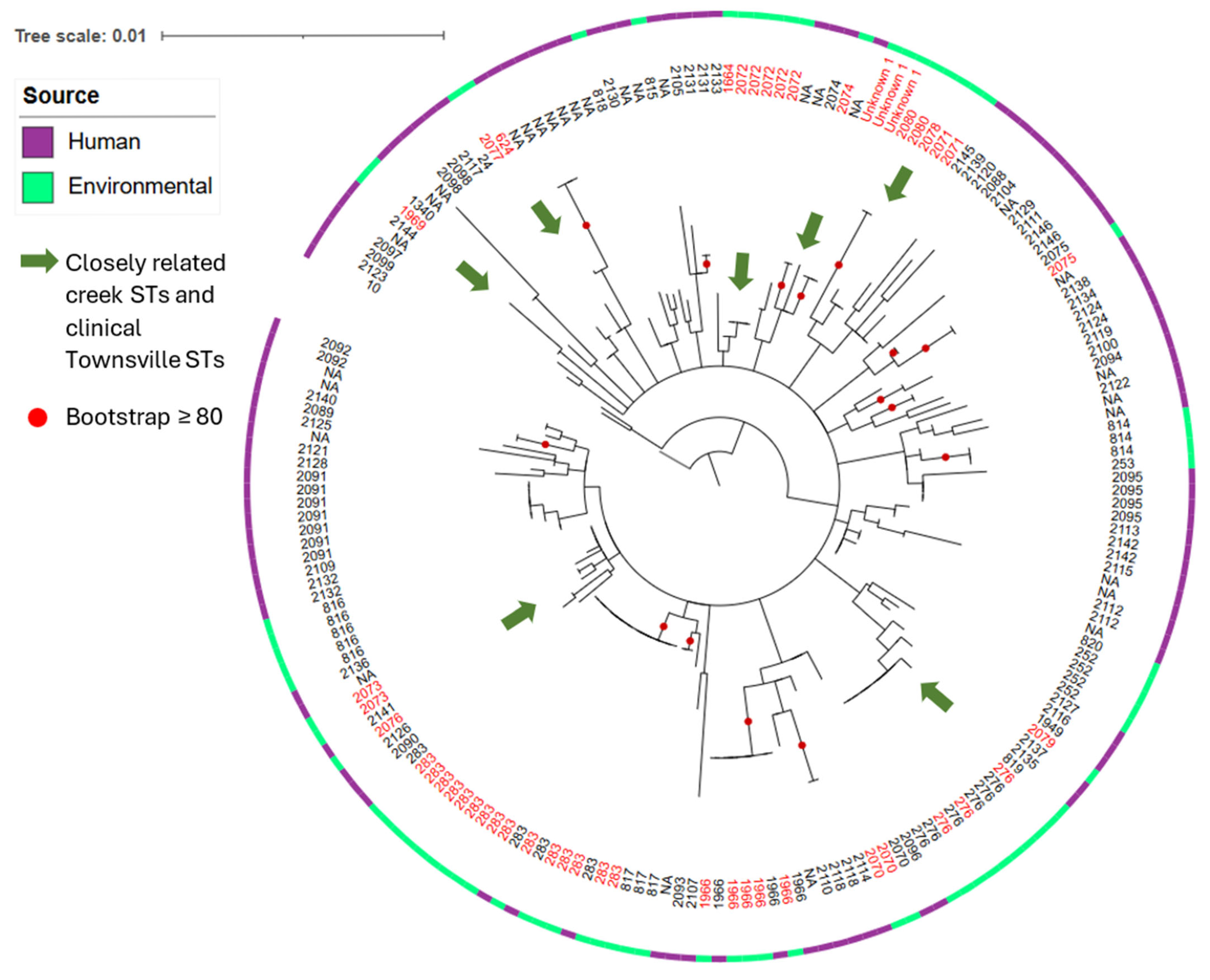 Pathogens 15 00276 g009