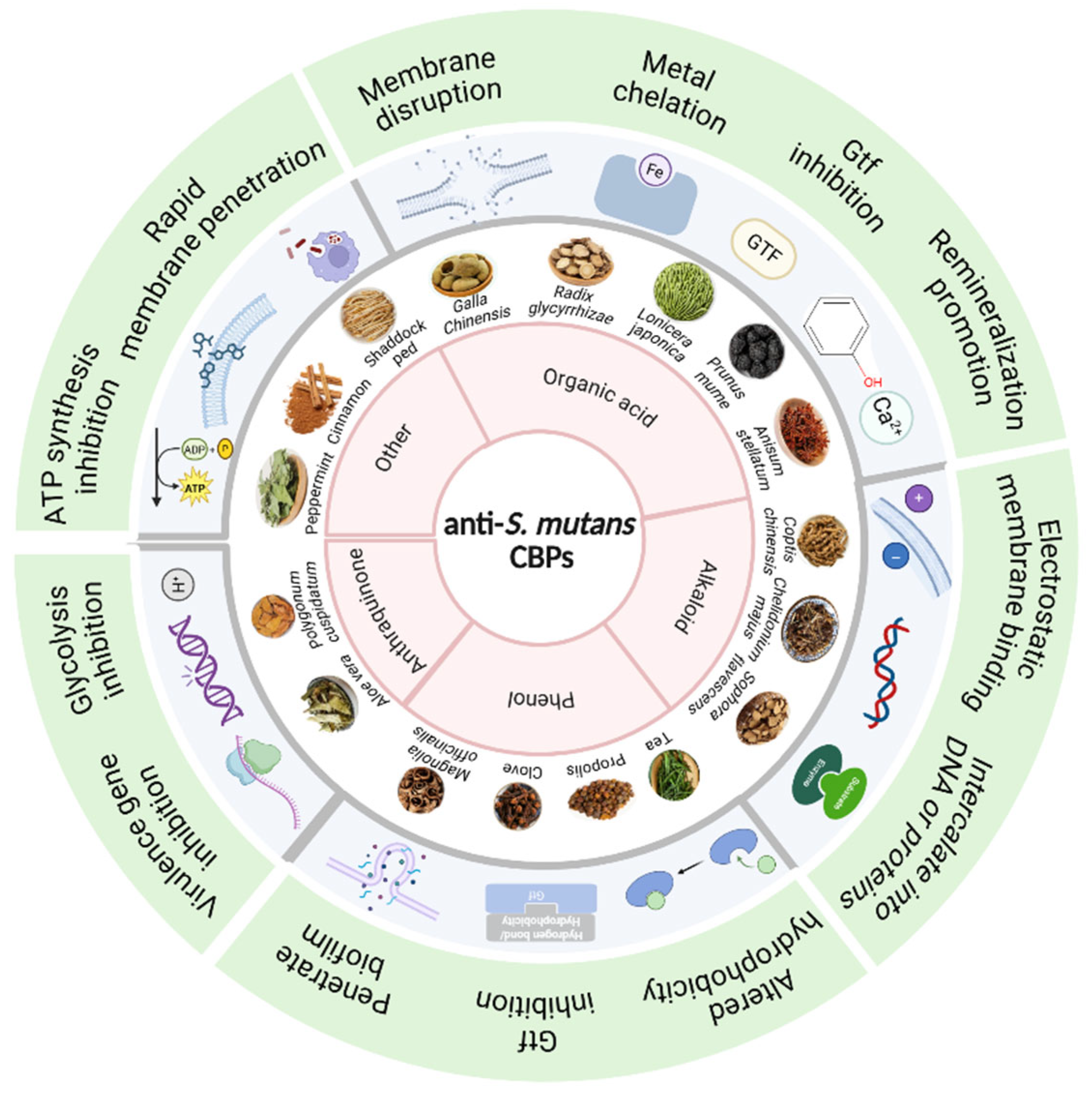 Pathogens 15 00280 g001