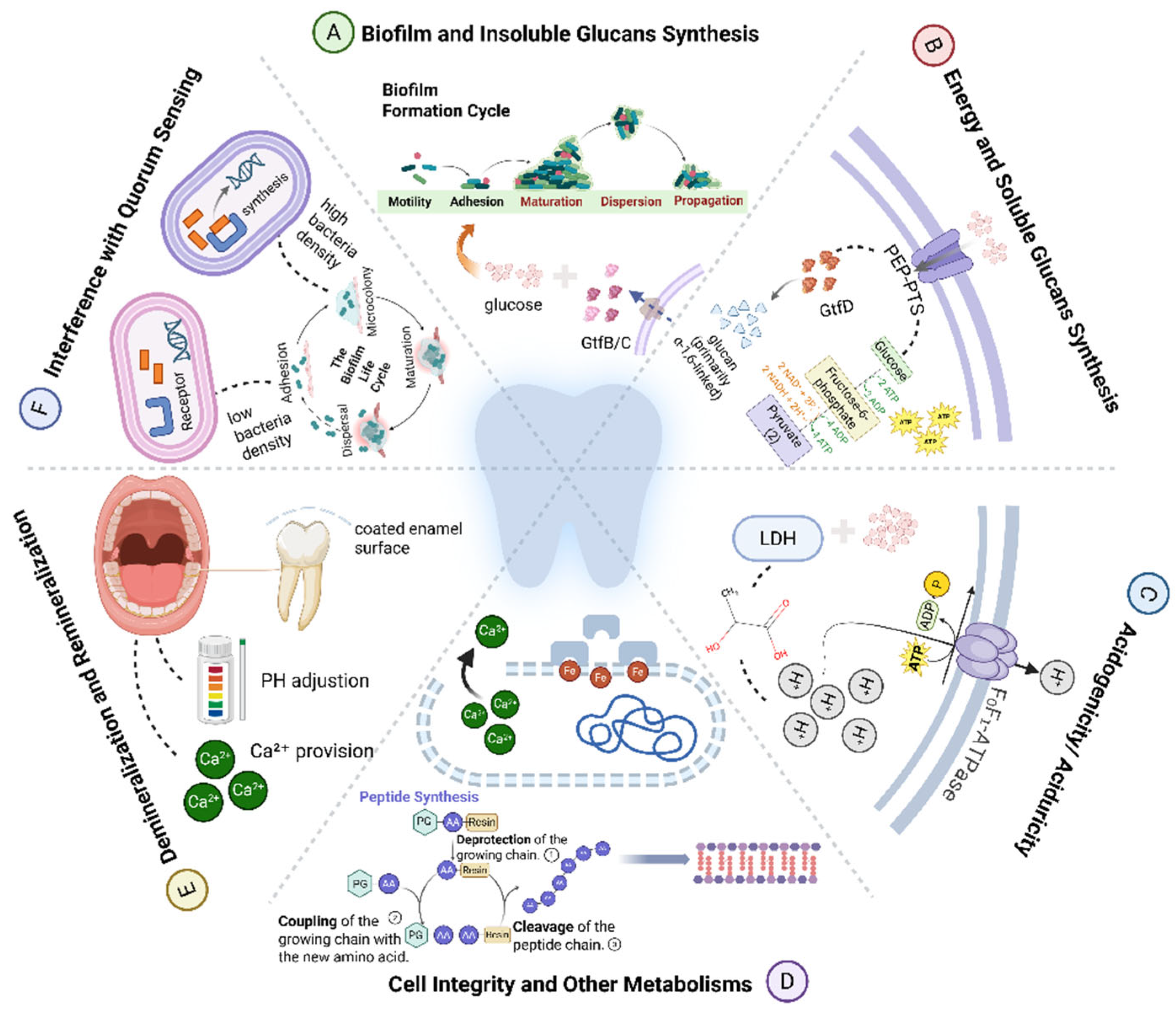 Pathogens 15 00280 g002