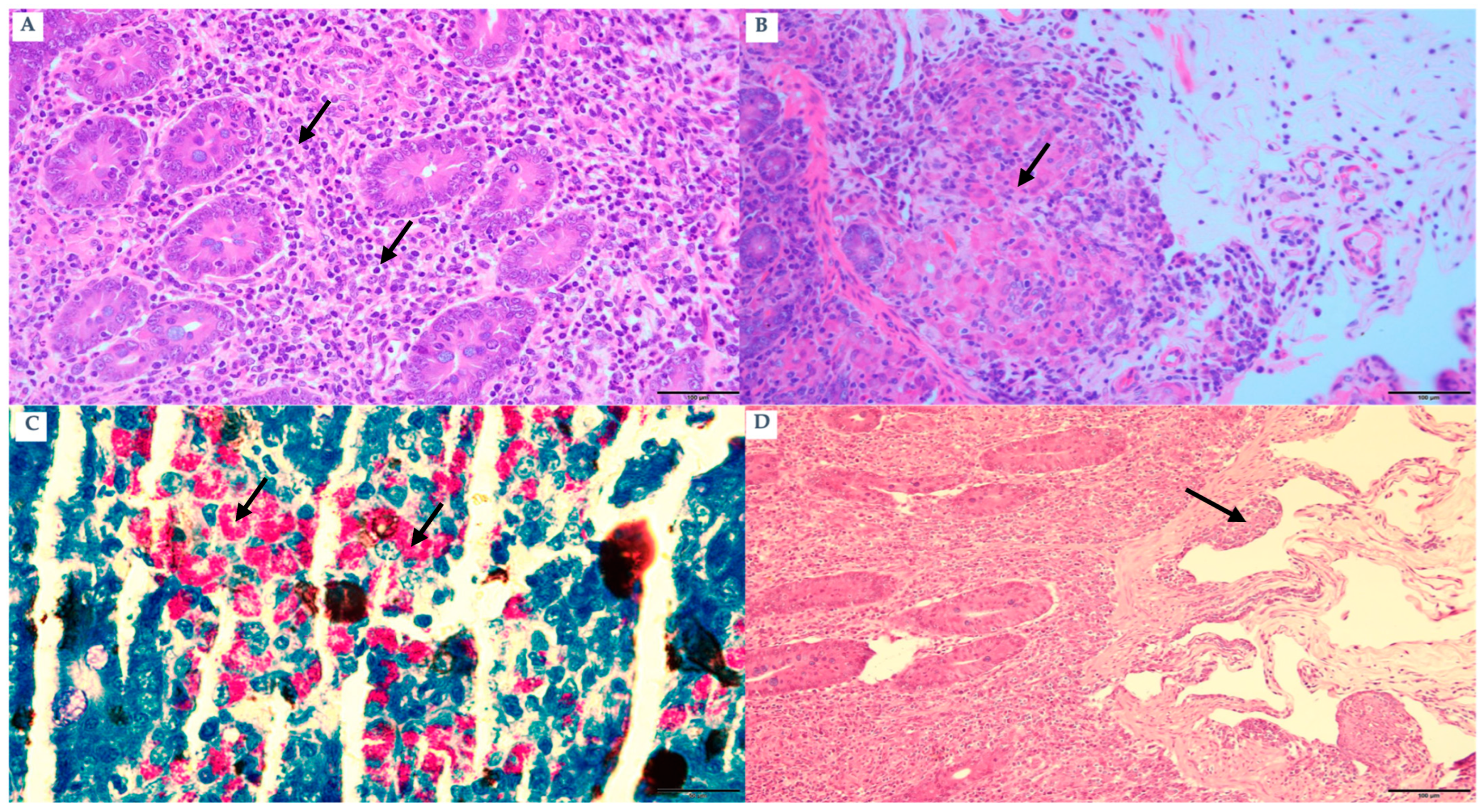 Pathogens 15 00355 g004 Pathogens 15 00355 g004